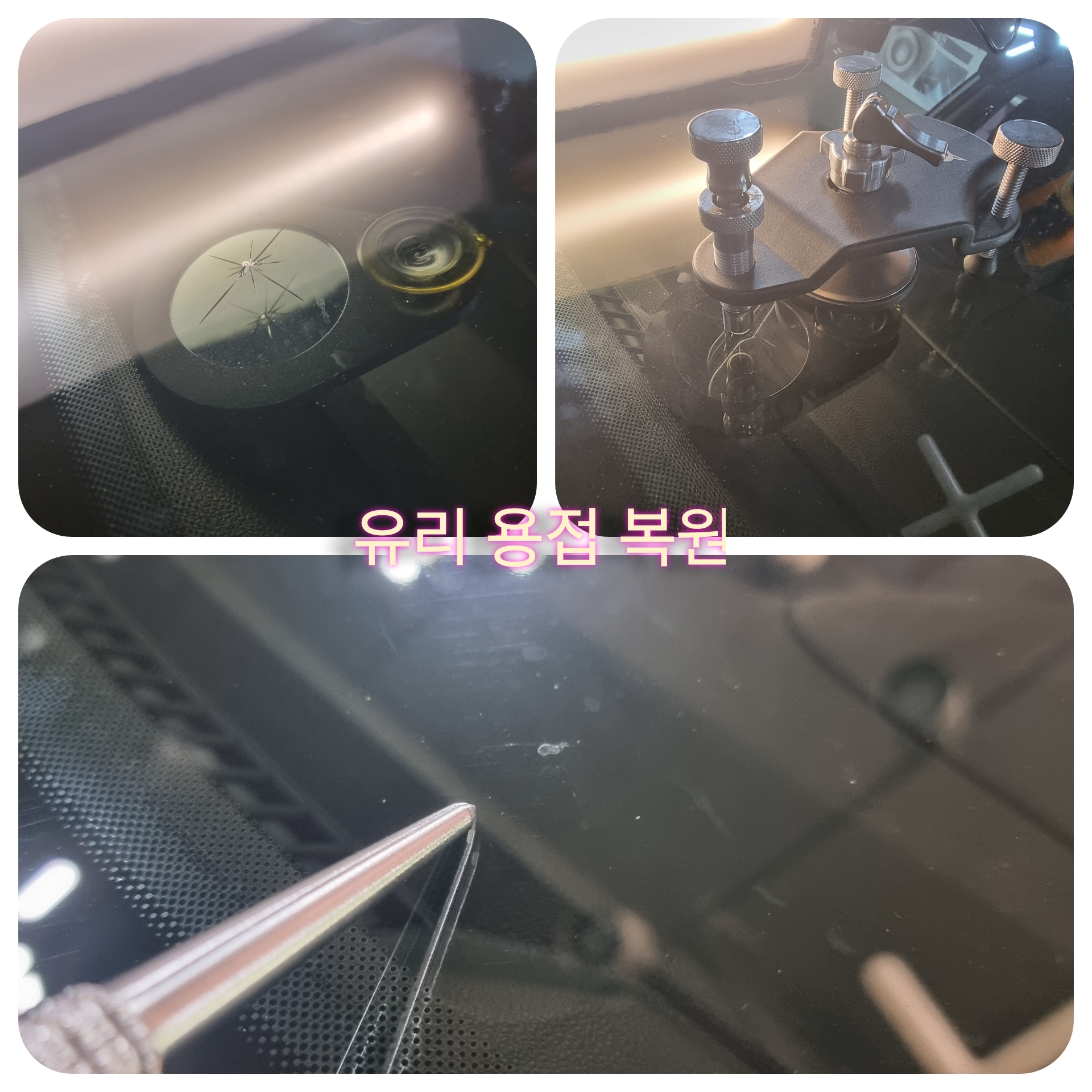 와니덴트