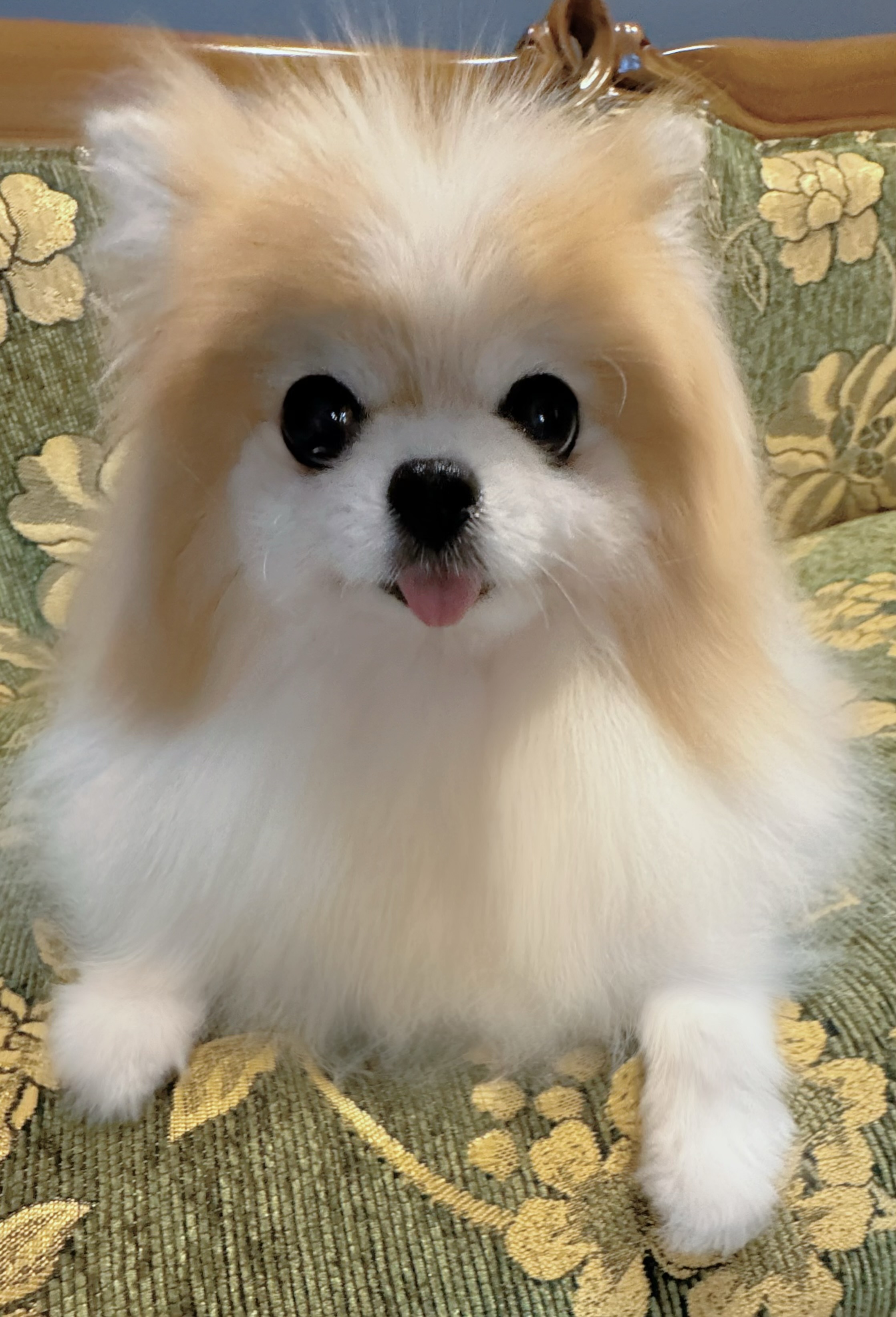 헤라뷰티속눈썹왁싱 원주점