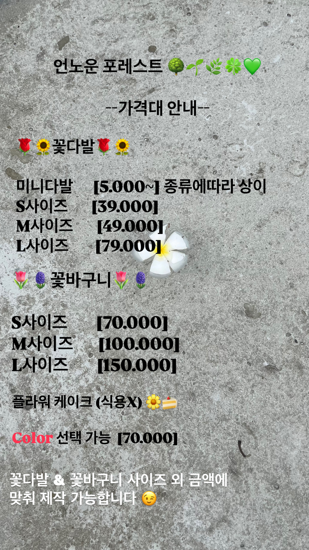 언노운 포레스트