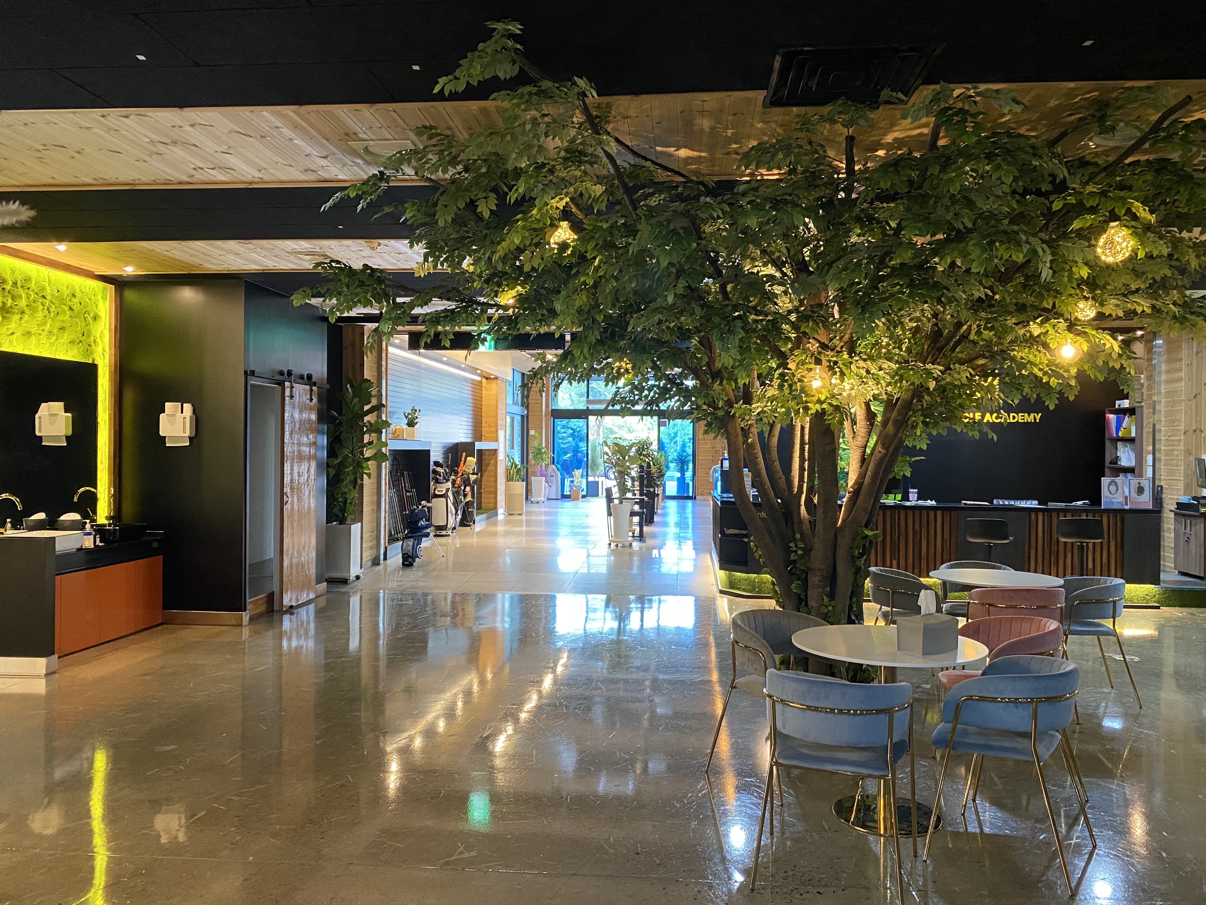 QED 조아골프아카데미&프렌즈스크린 대표 이미지