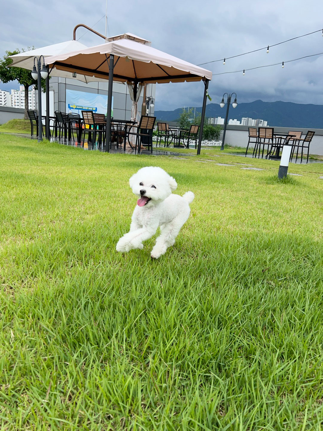 해피쉼표데이