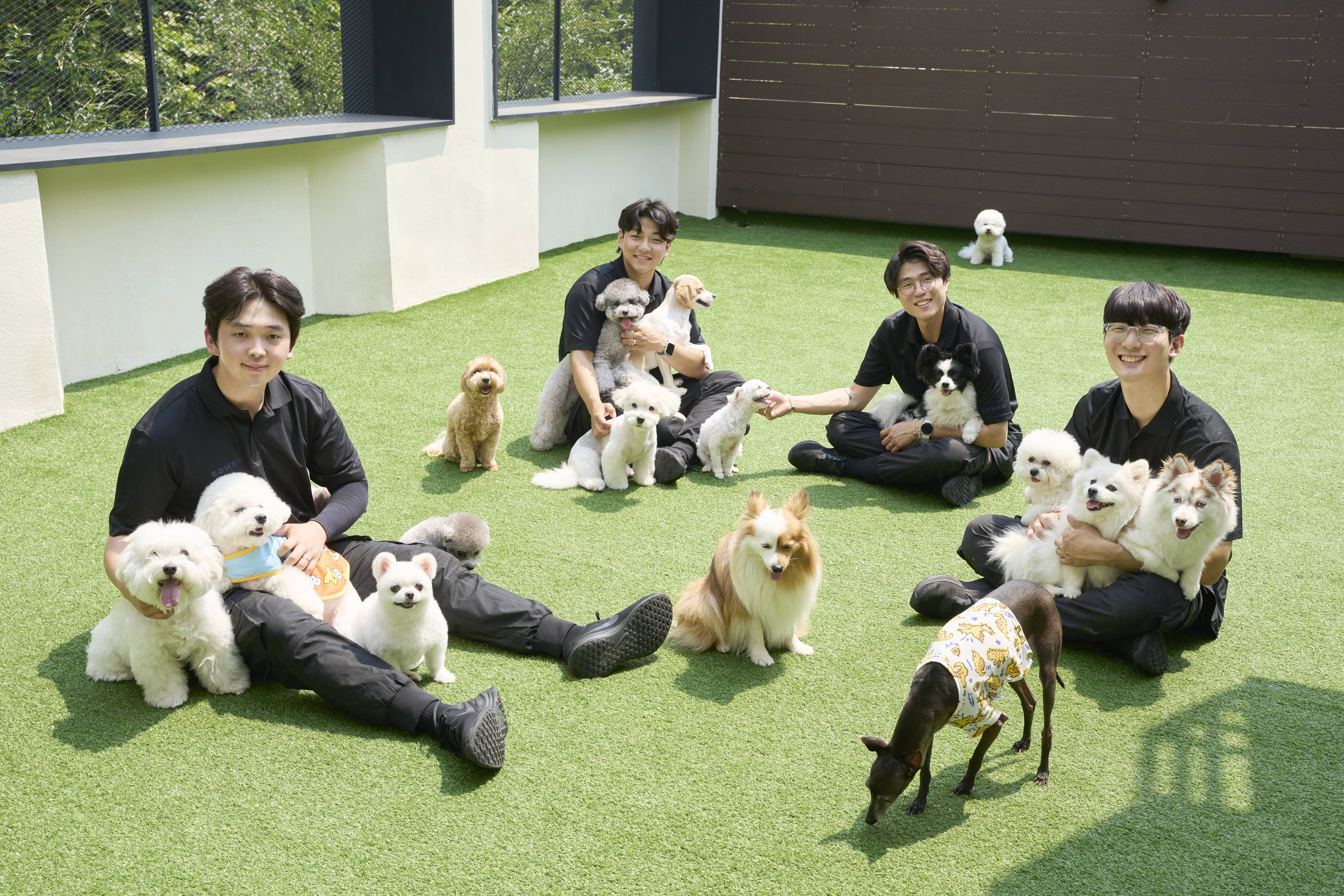 보위그 대표 이미지