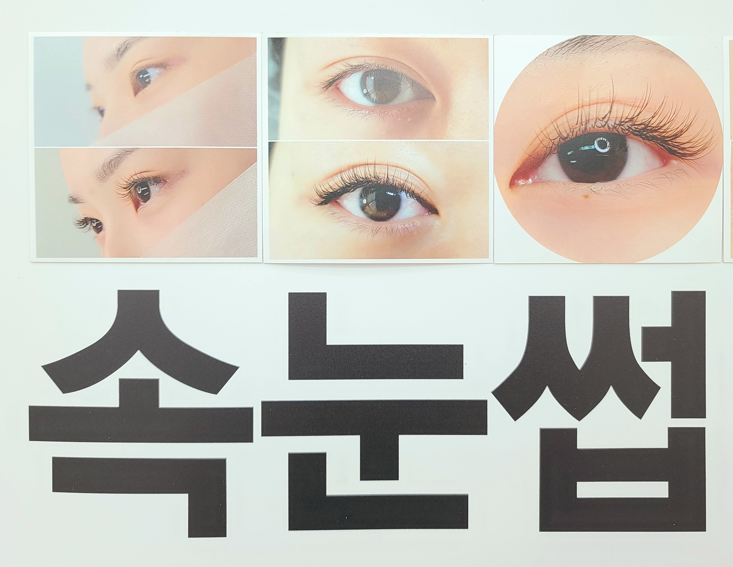 디엘르 대표 이미지