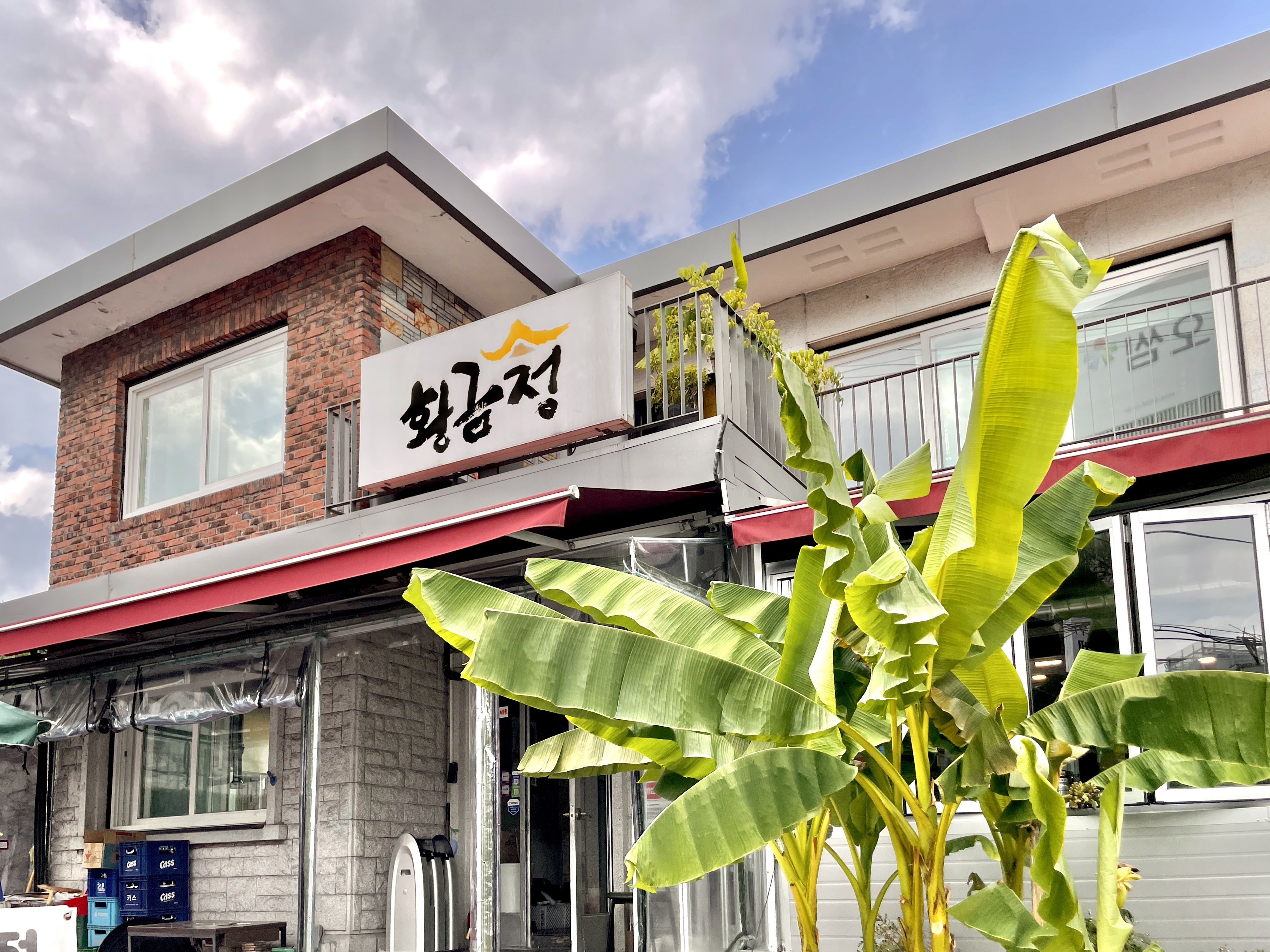 황금정
