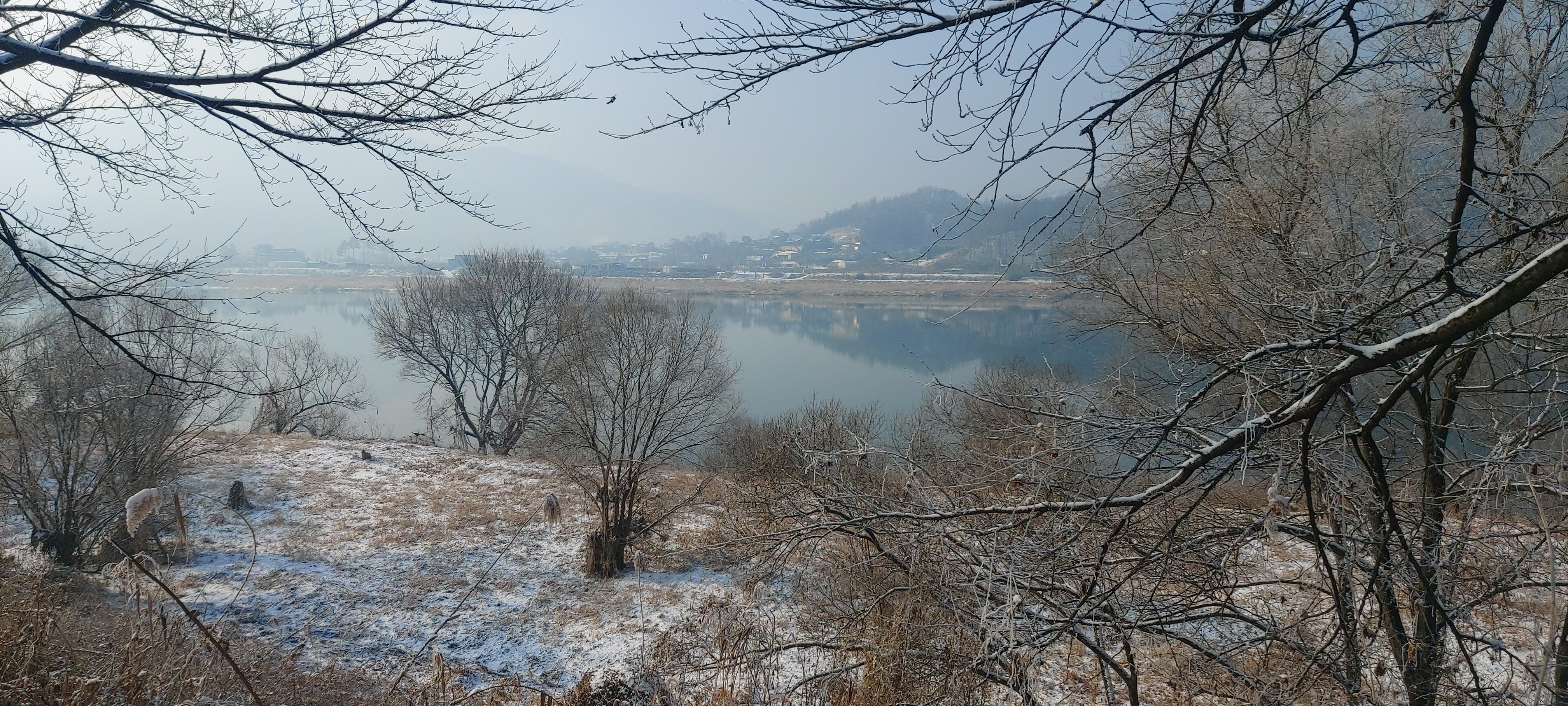 새벽강