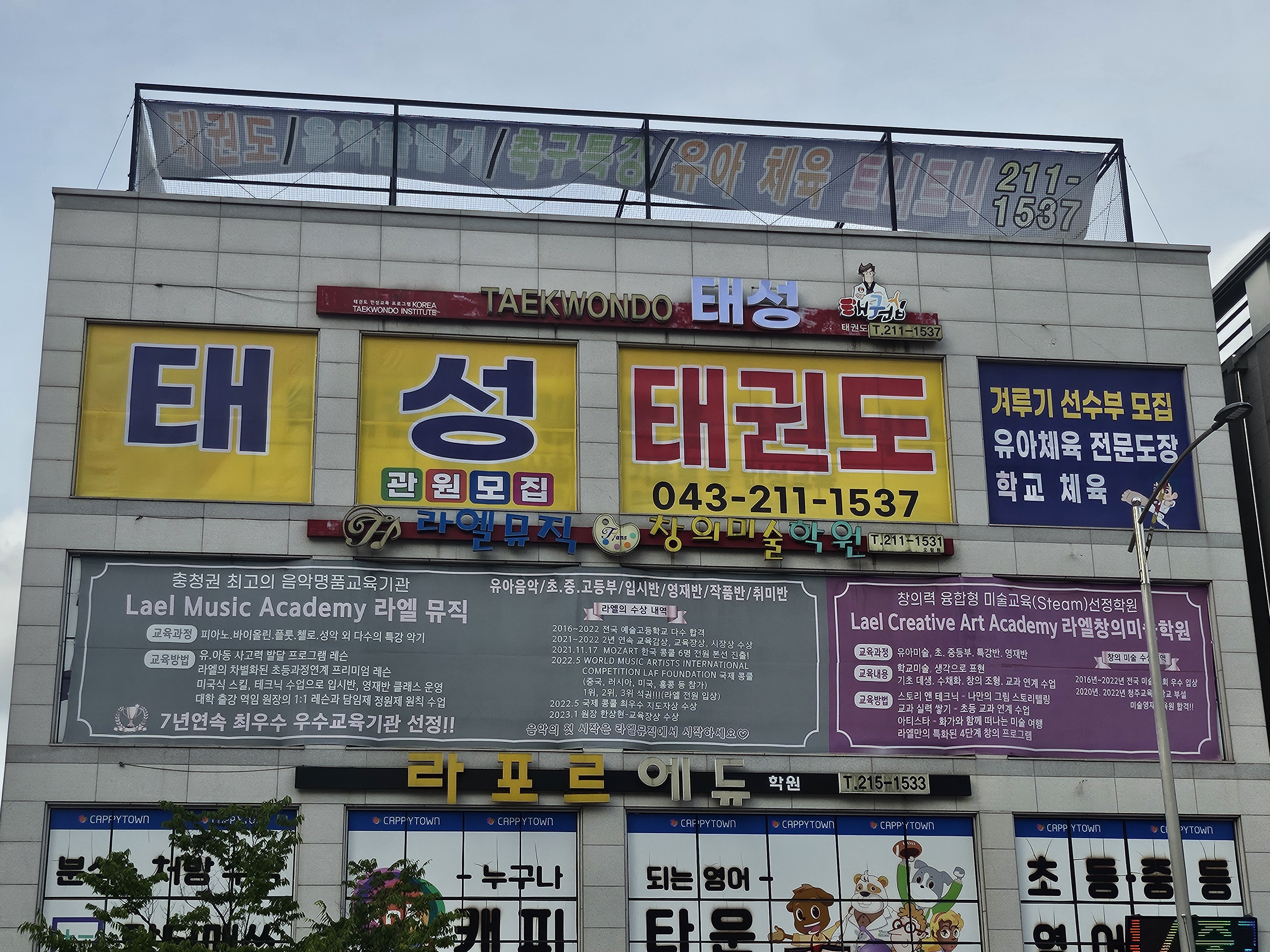 태성태권도