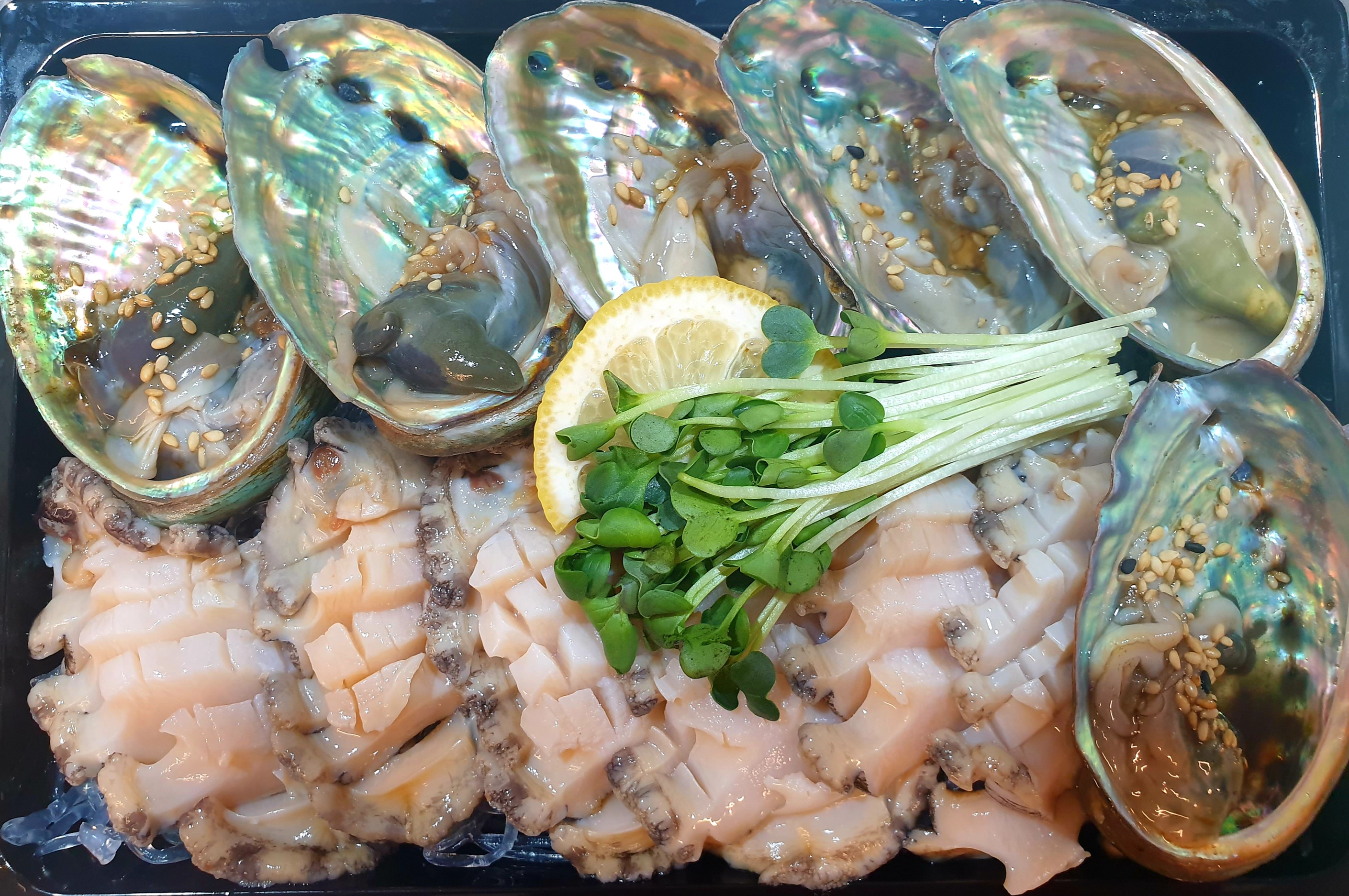바다사냥꾼