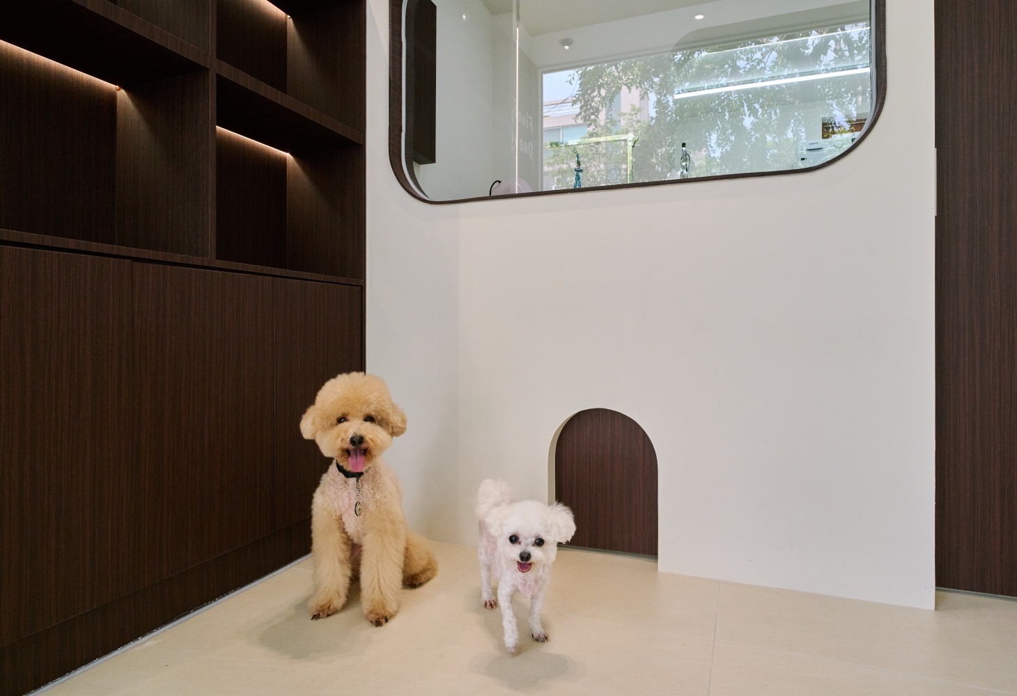 플루피댕 대표 이미지