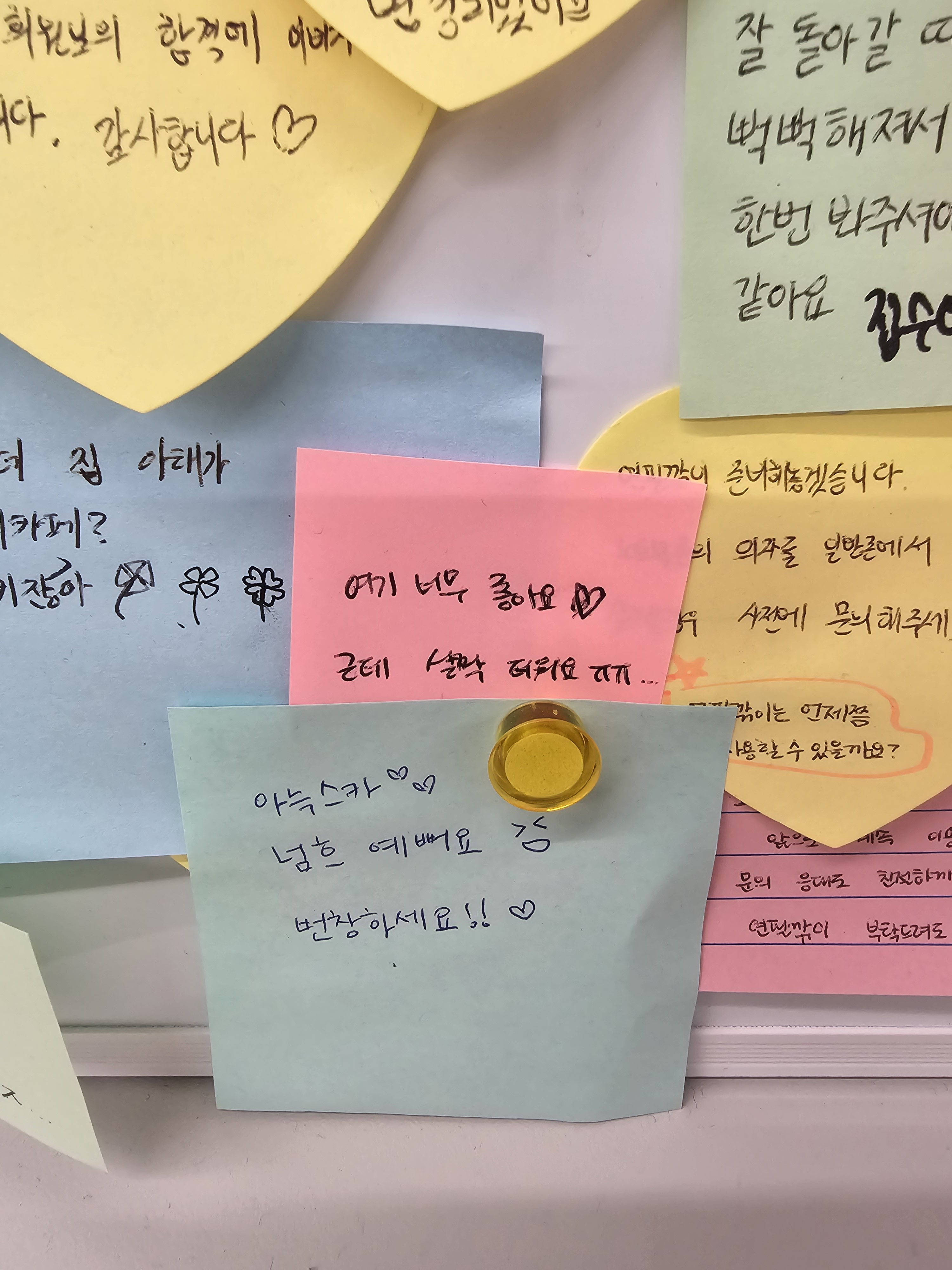 업체사진