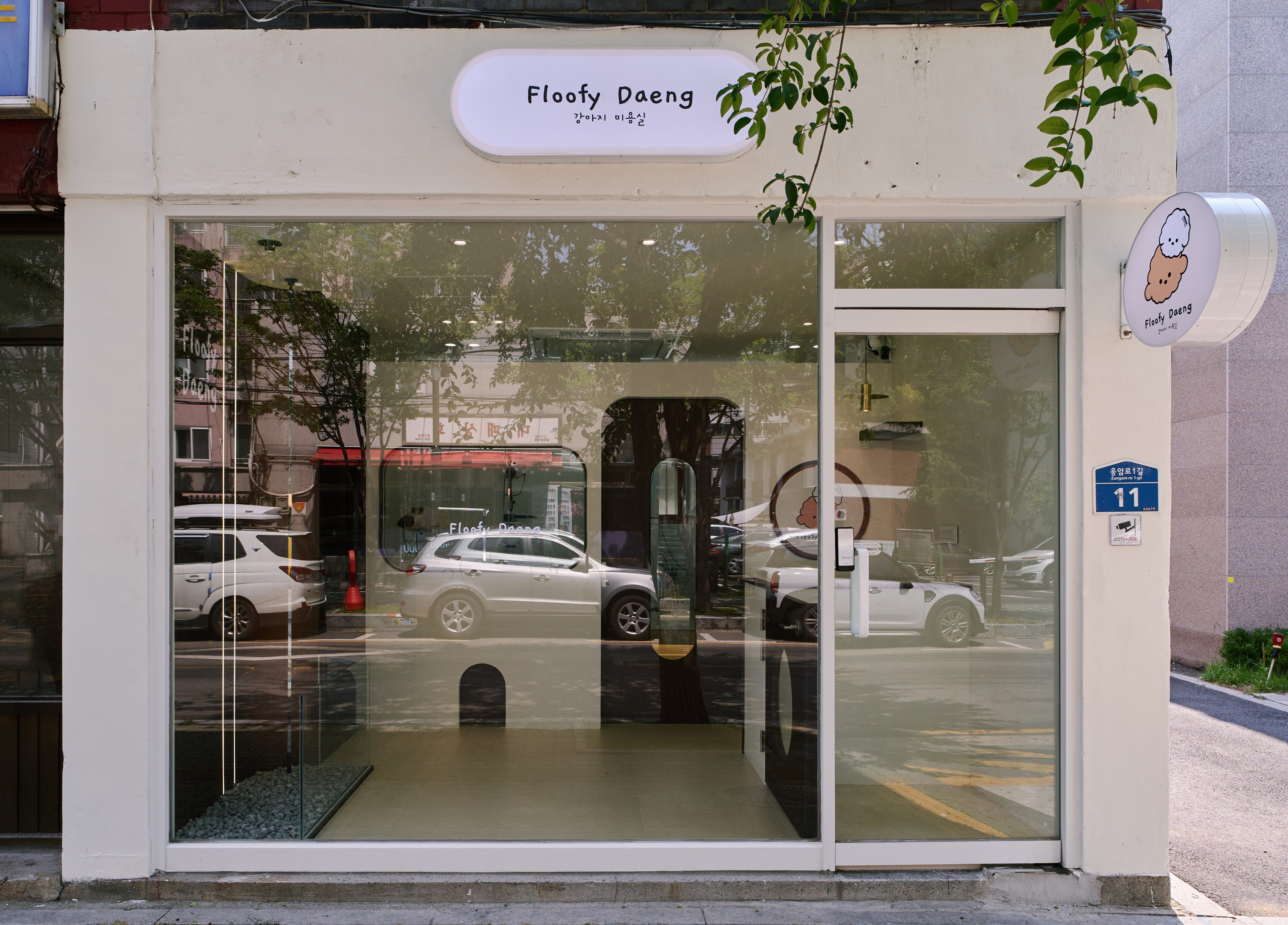 플루피댕 대표 이미지