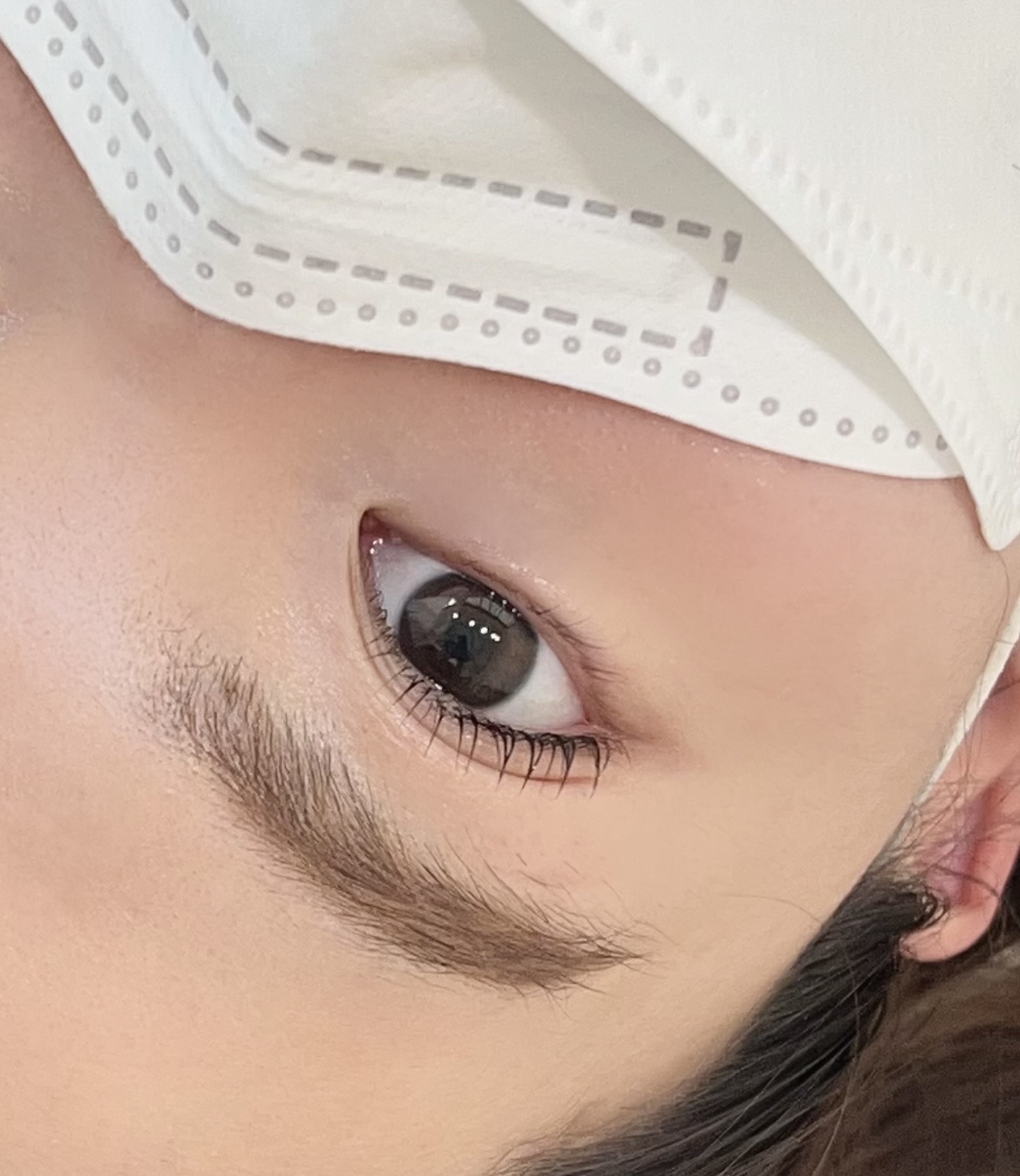 세렌디 라니 대표 이미지