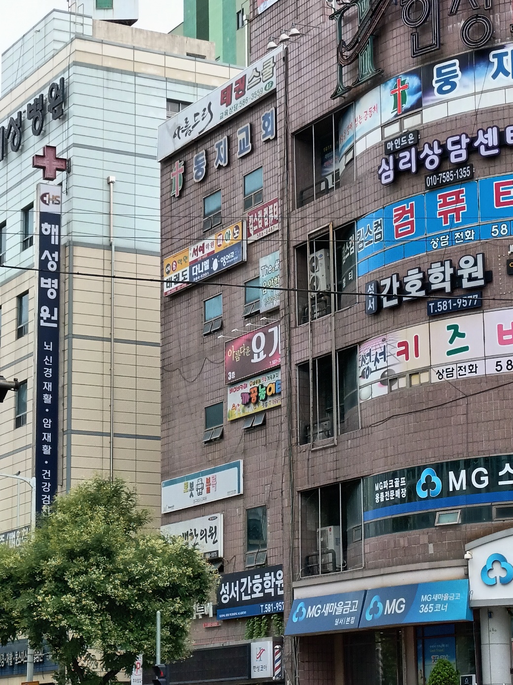 성서간호학원
