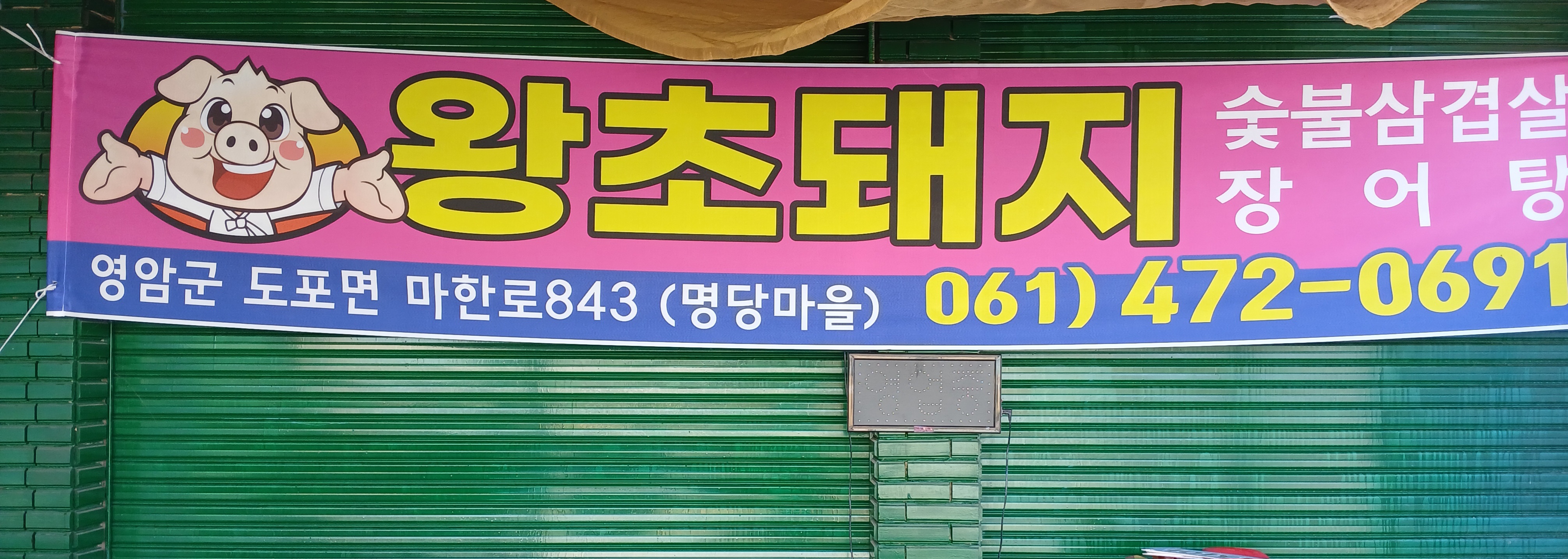 왕초돼지