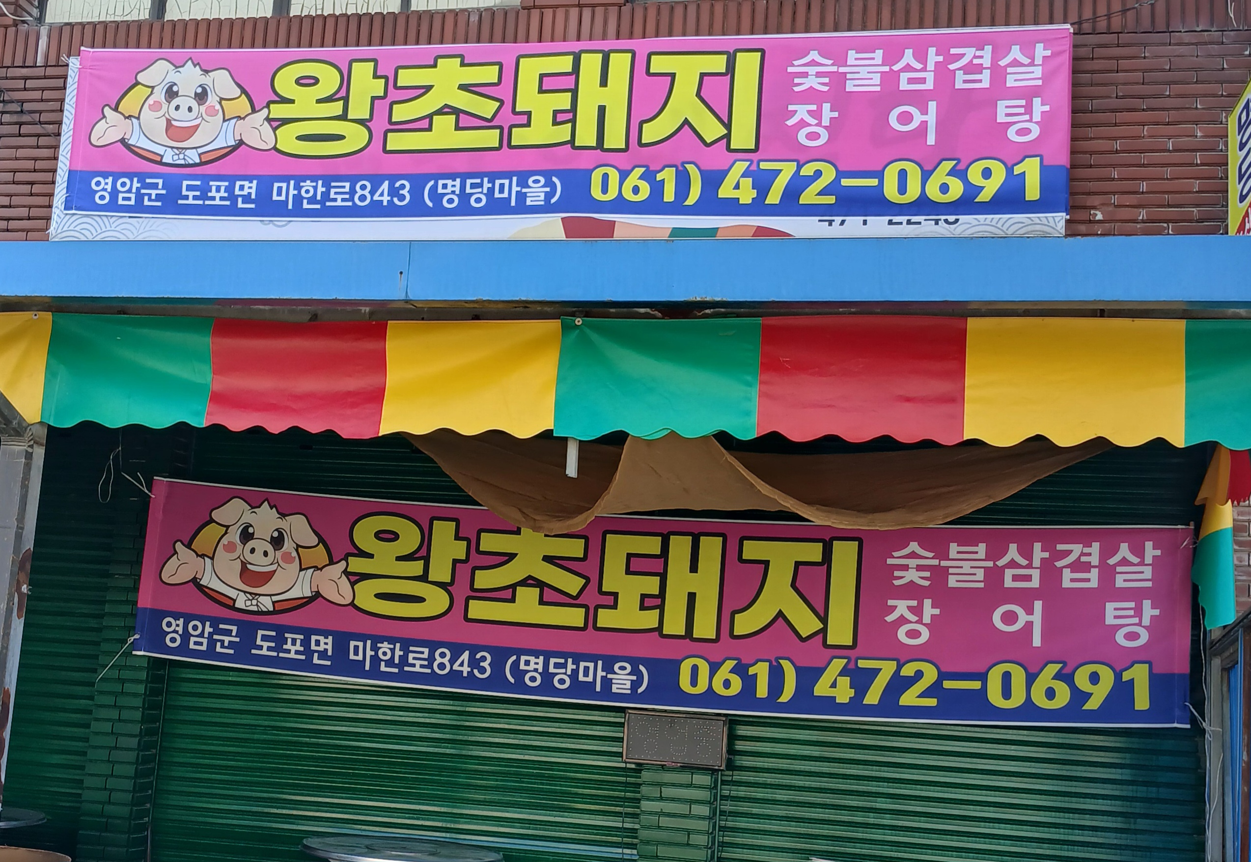 왕초돼지