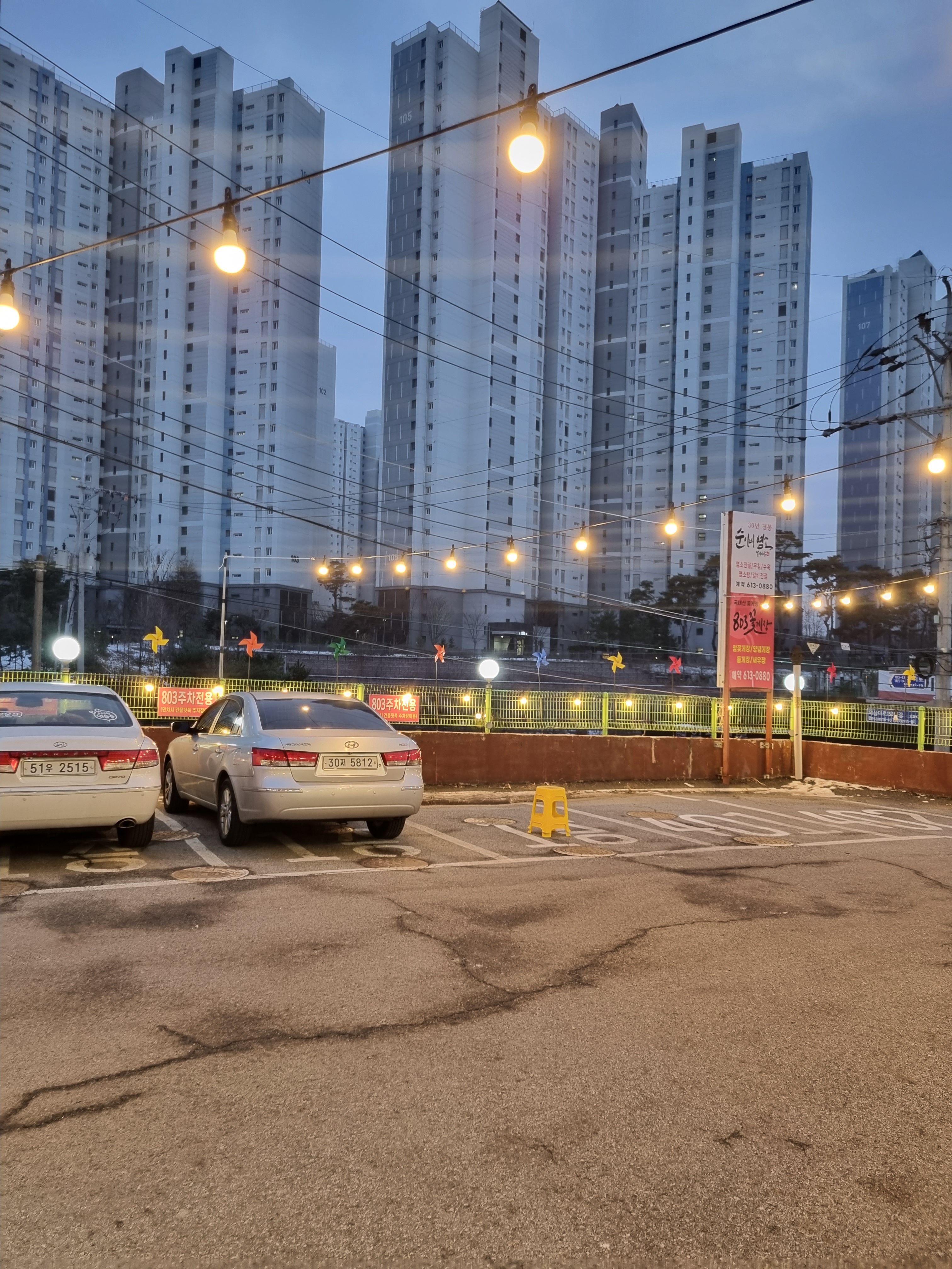 30년전통순이네염소