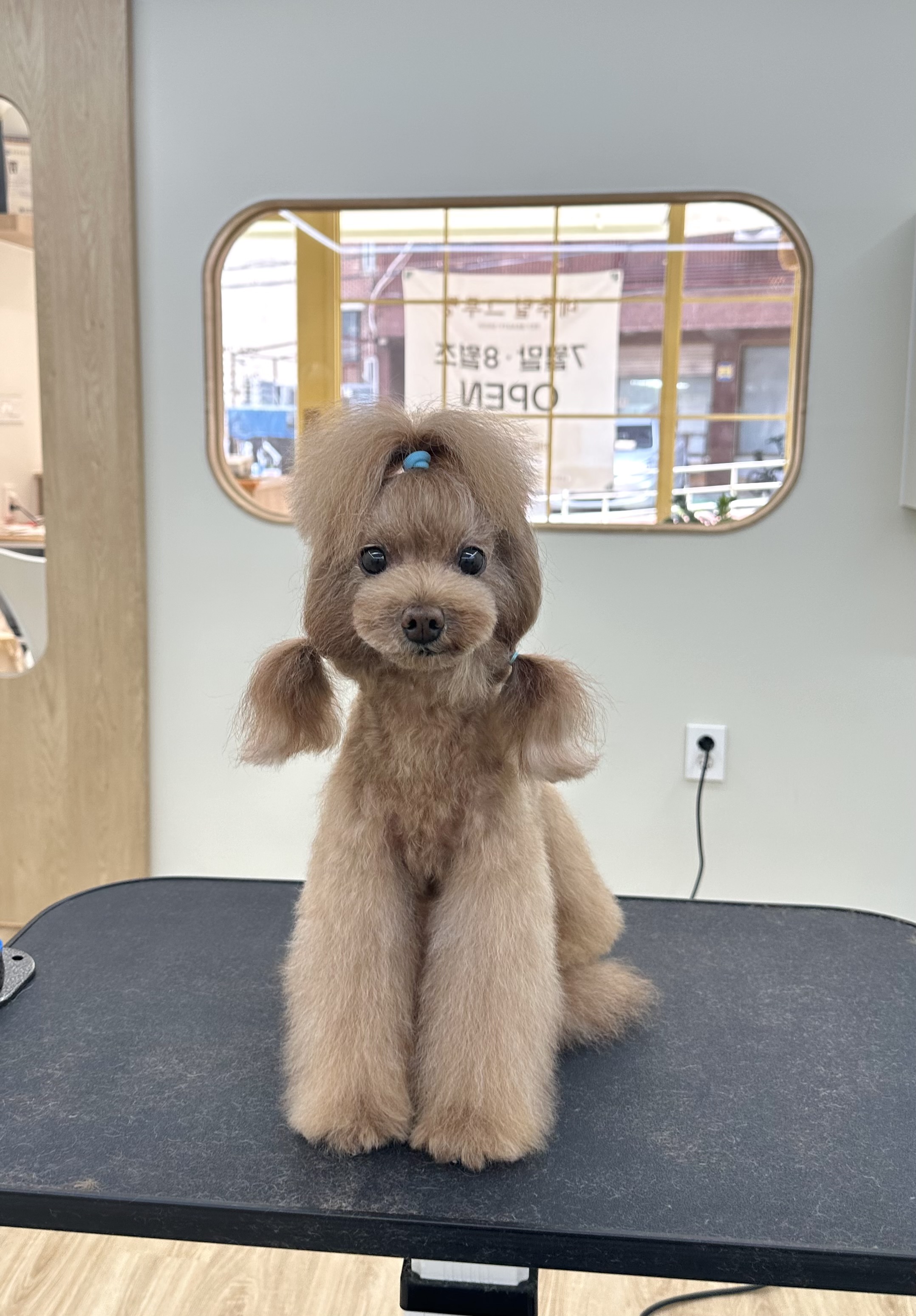 네추럴그루밍 대표 이미지