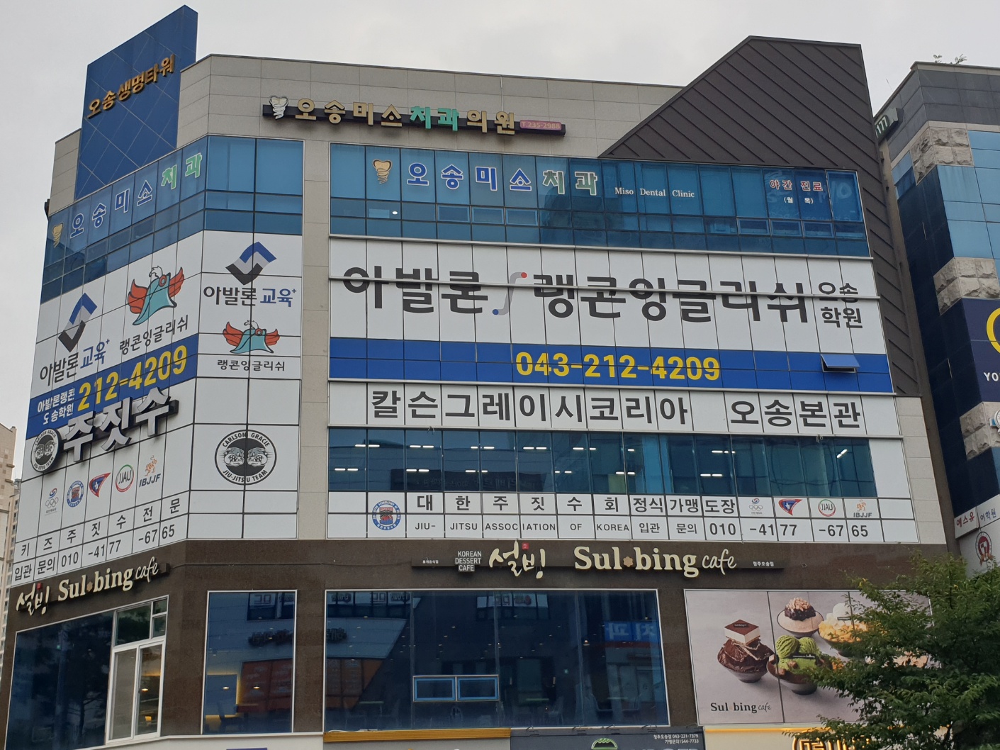 아발론랭콘잉글리쉬 청주오송캠퍼스
