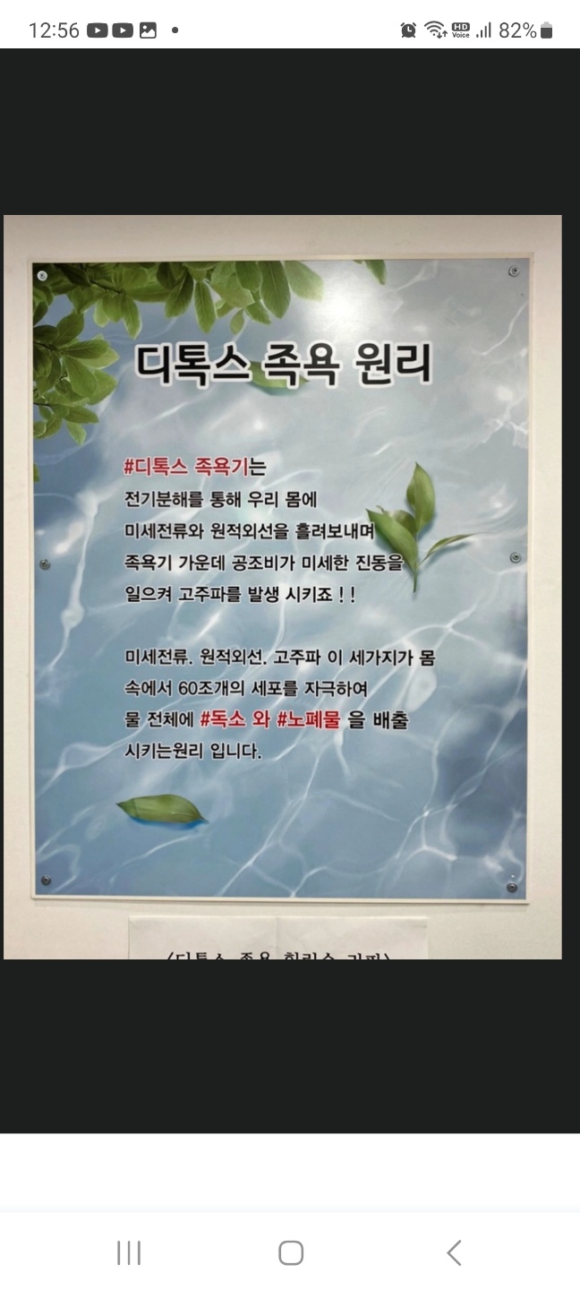 힐링숲라파