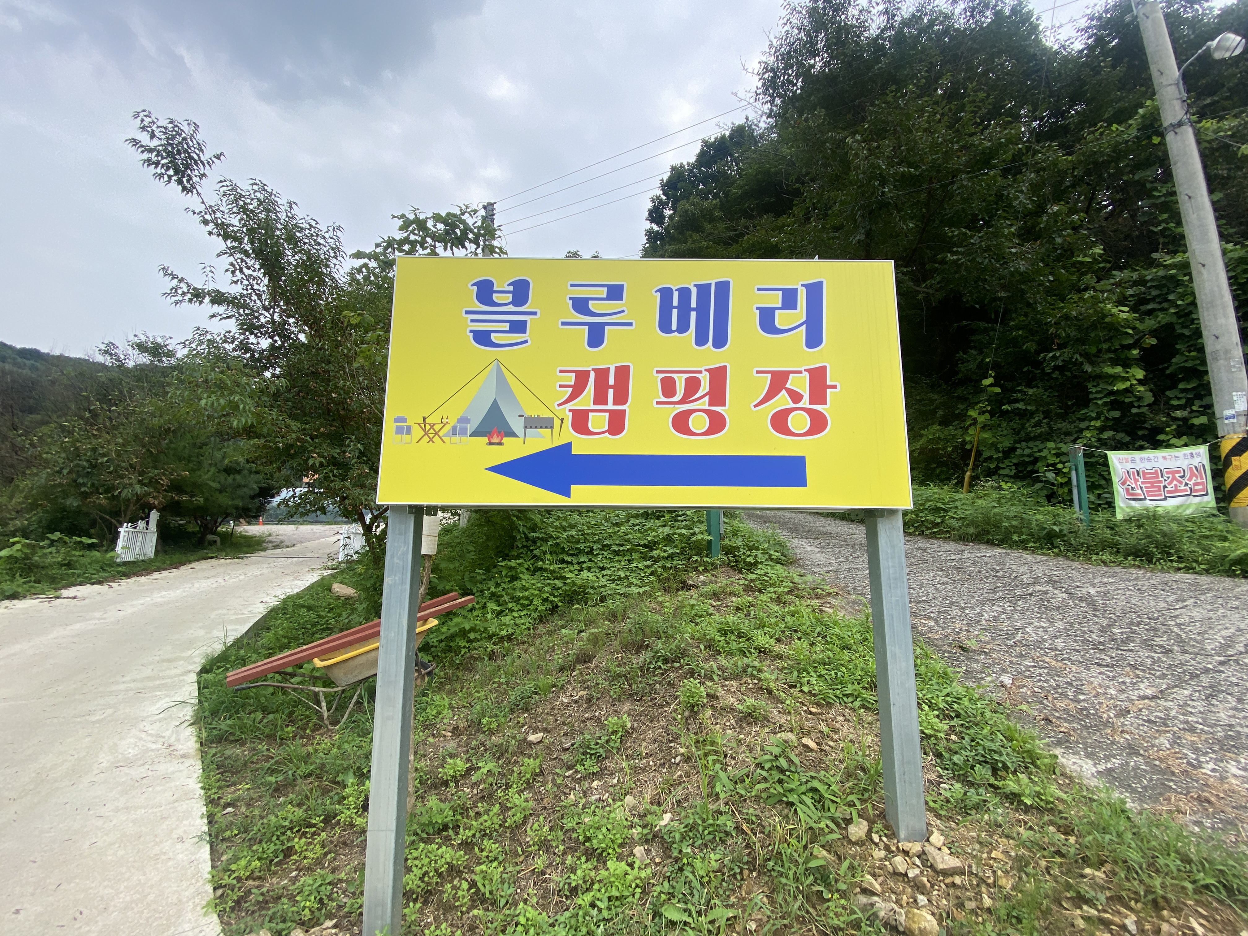 블루베리캠핑장