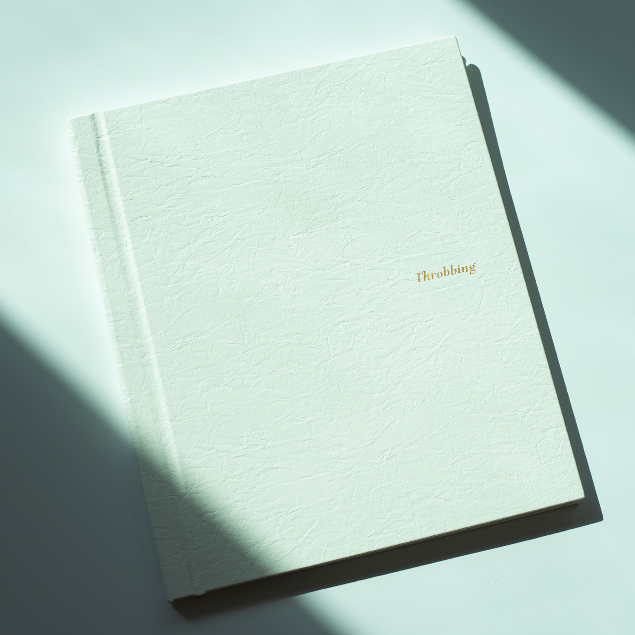 스로빙 대표 이미지