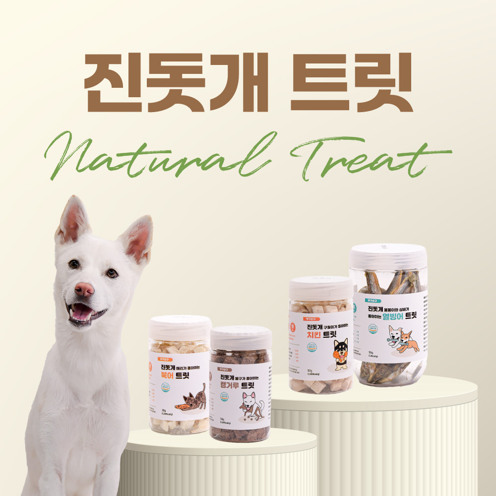 무구순구 경기 애견카페