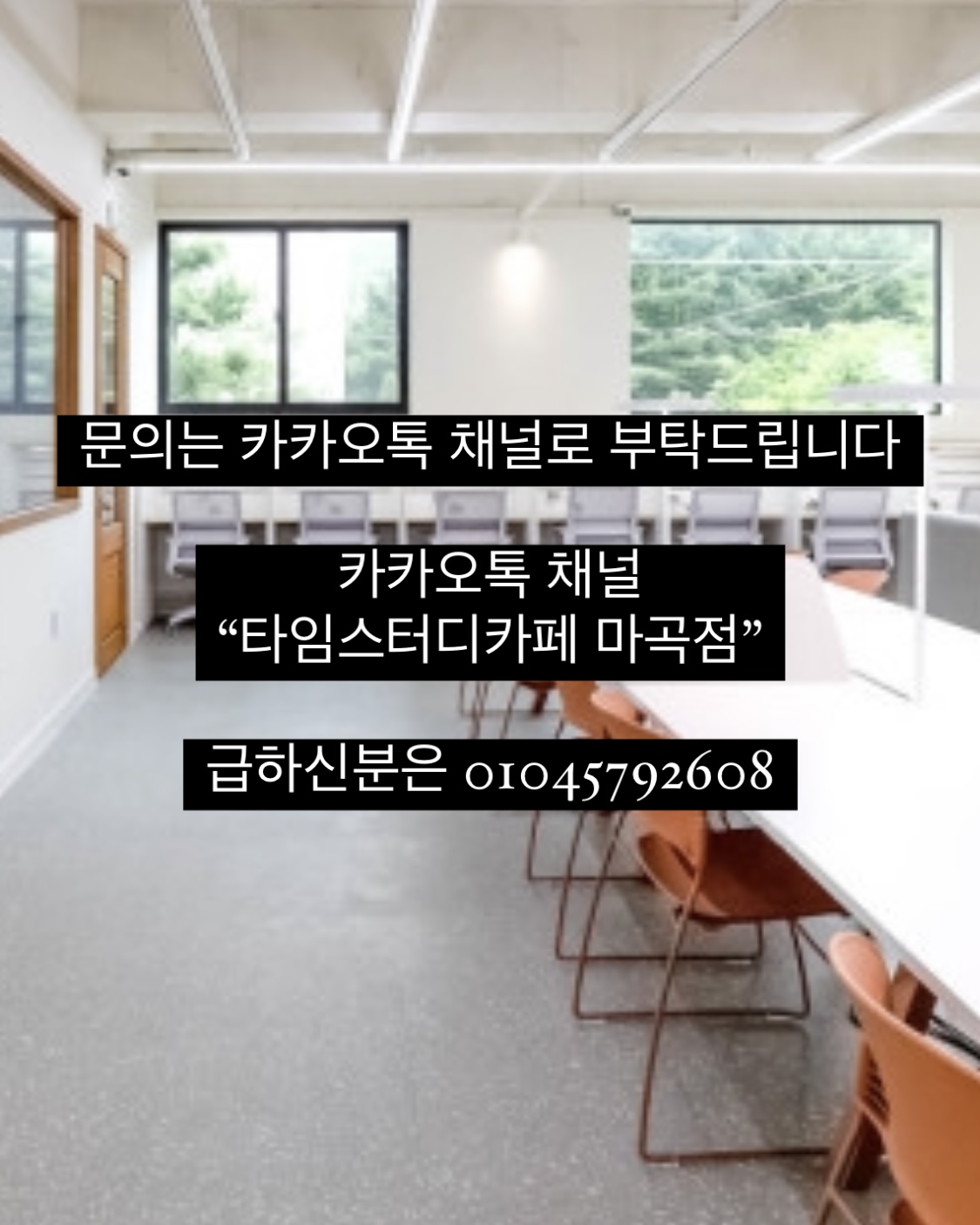 업체사진