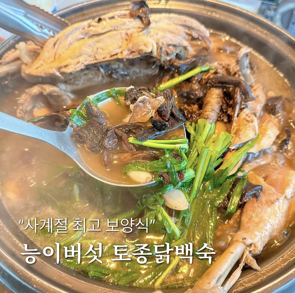 DA.dodo | 능이백숙추천 경남 거창군 능이백숙잘하는 맛집 방문해 보세요 살아생전 꼭 가봐야하는 산골가든