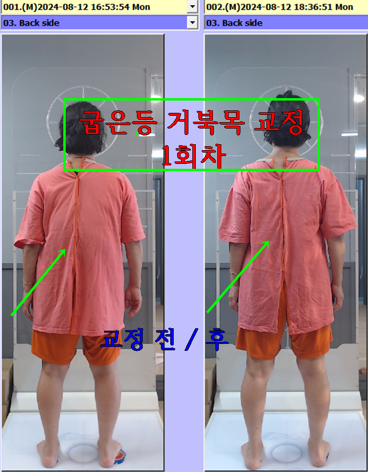 인체균형연구소