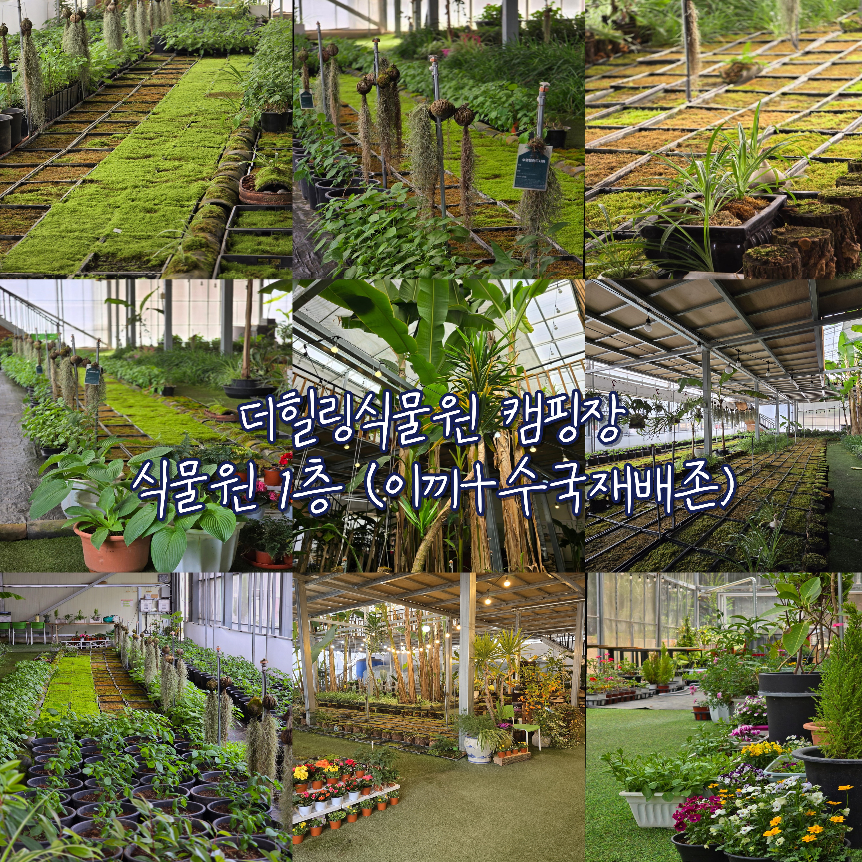 더힐링식물원 야영장
