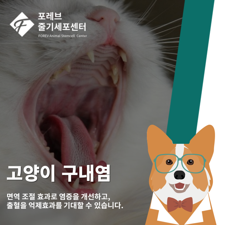 포레브동물의료센터 대표 이미지