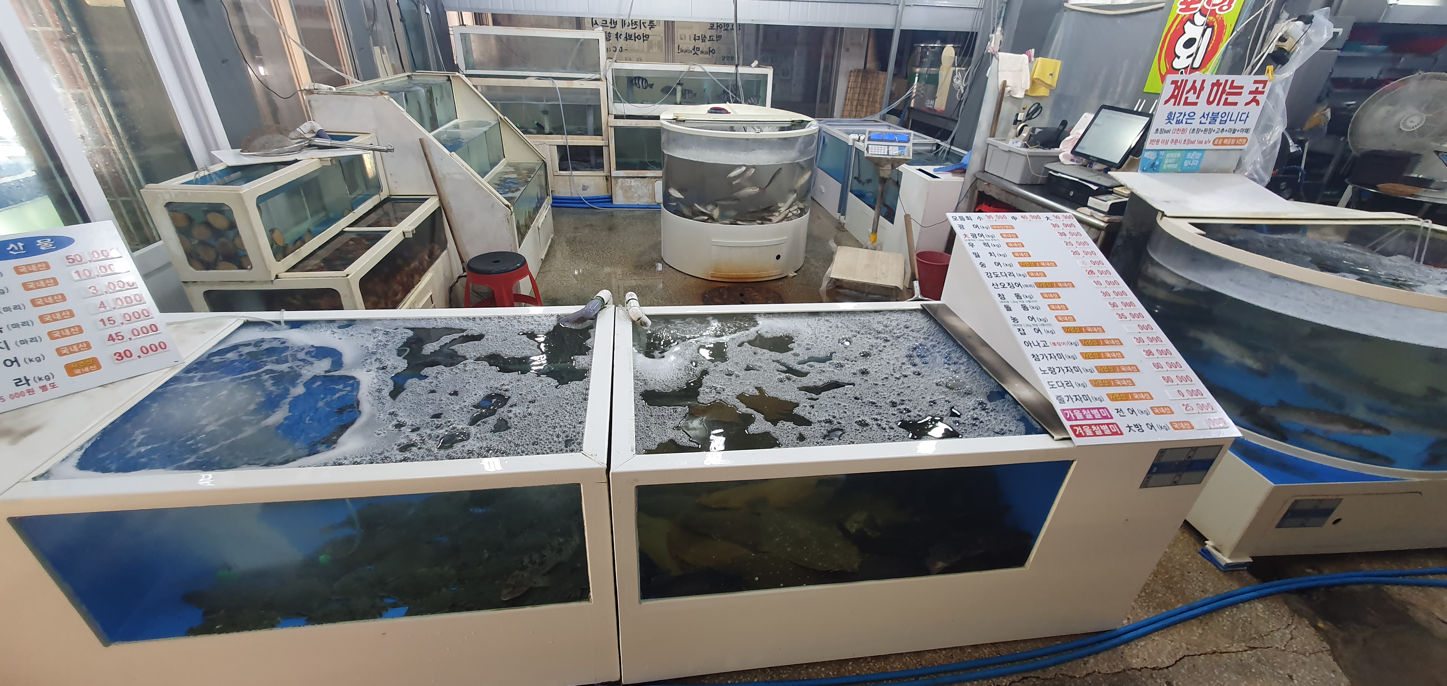포항회수산