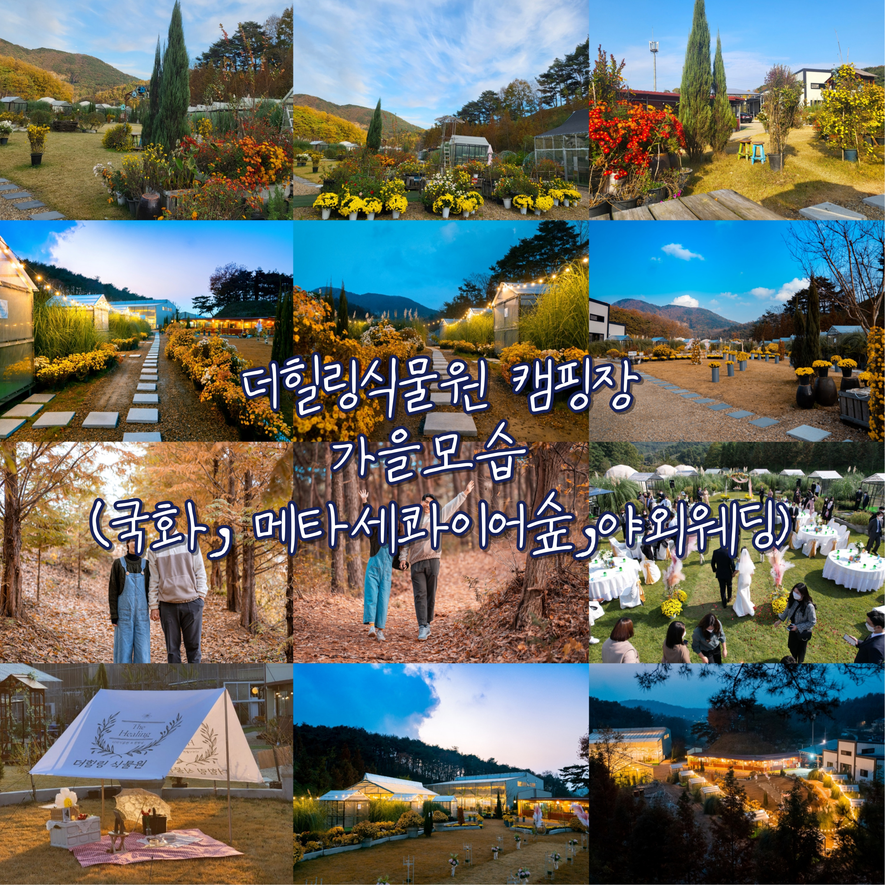 더힐링식물원 야영장