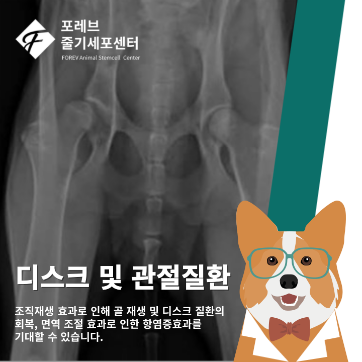 포레브동물의료센터 대표 이미지