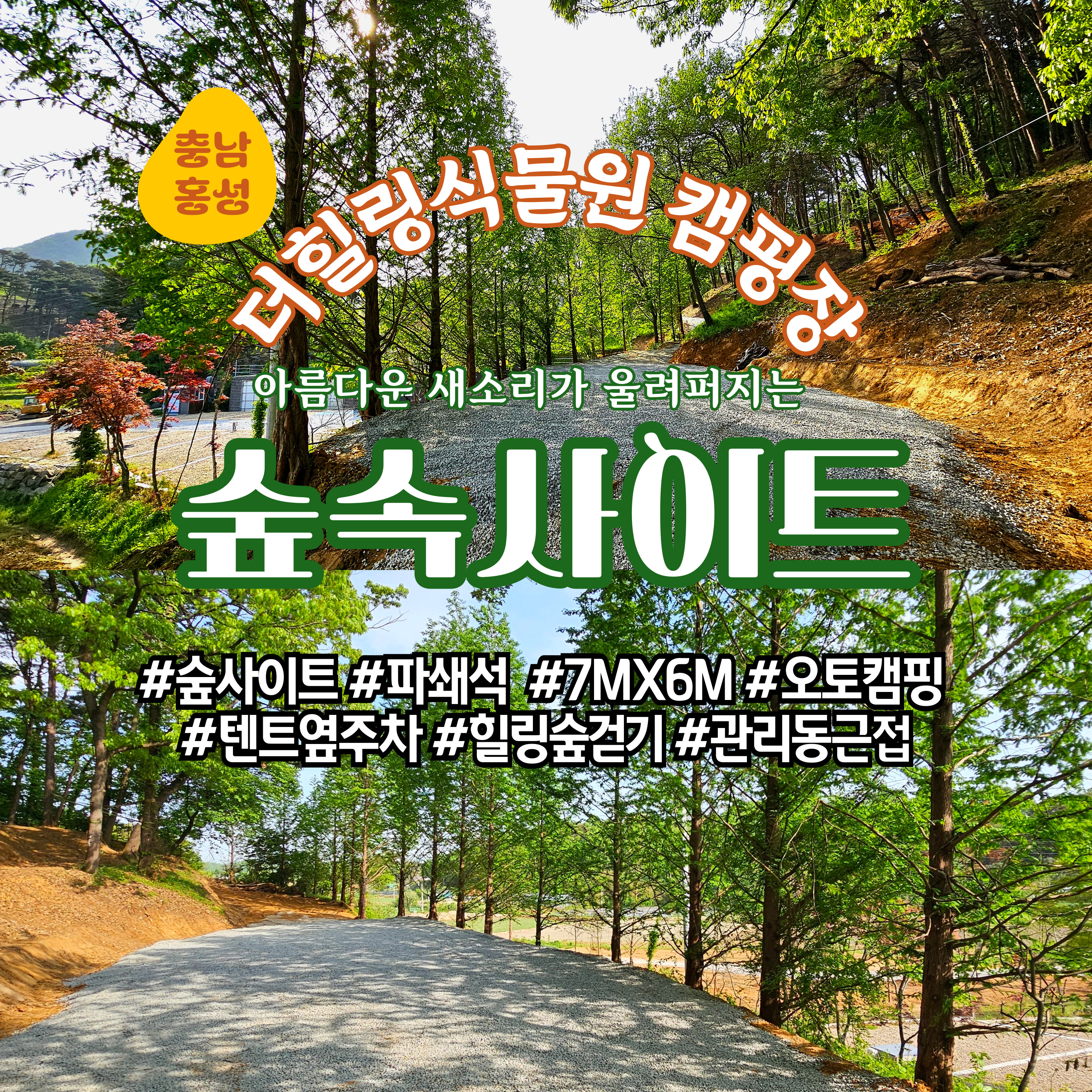 더힐링식물원 야영장