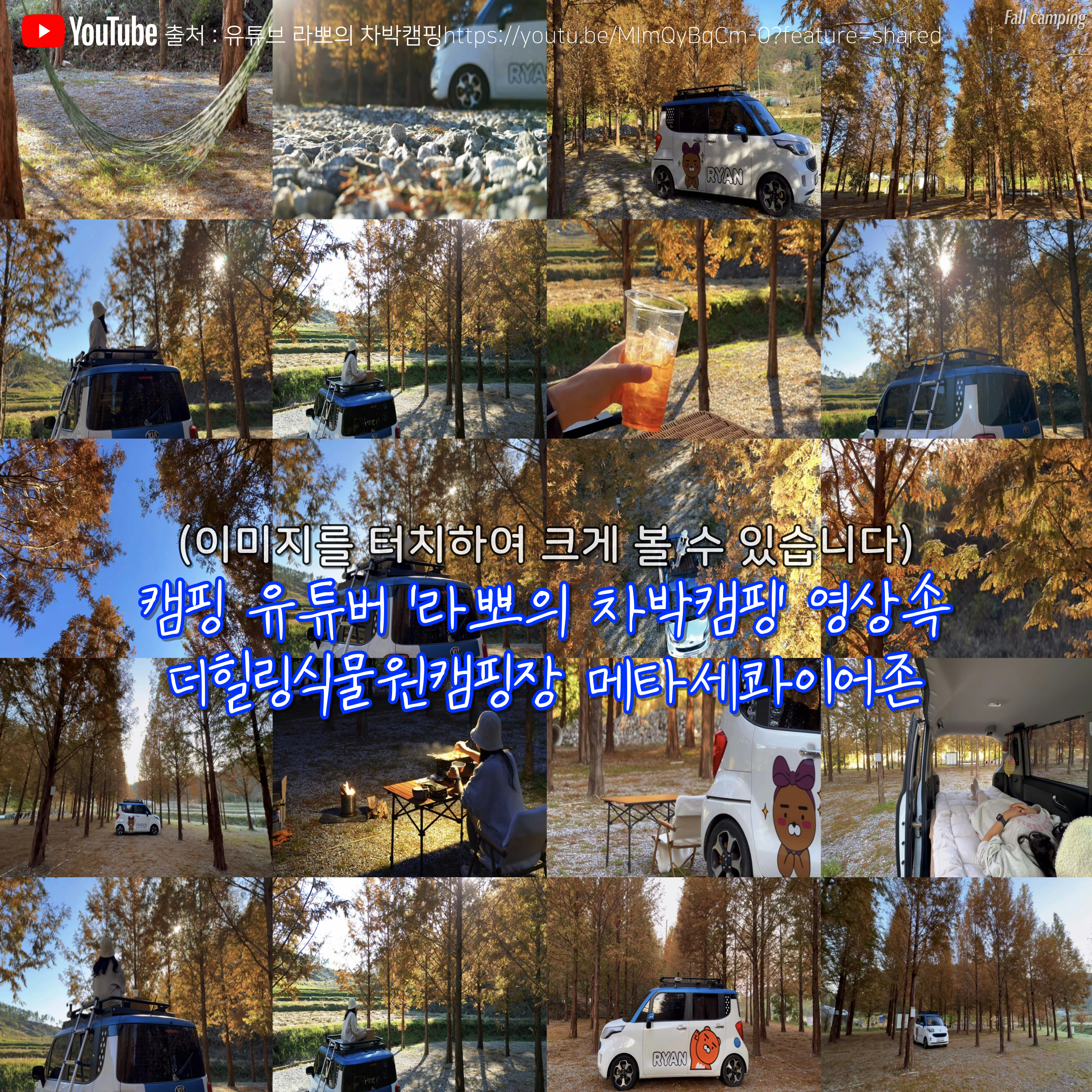 더힐링식물원 야영장