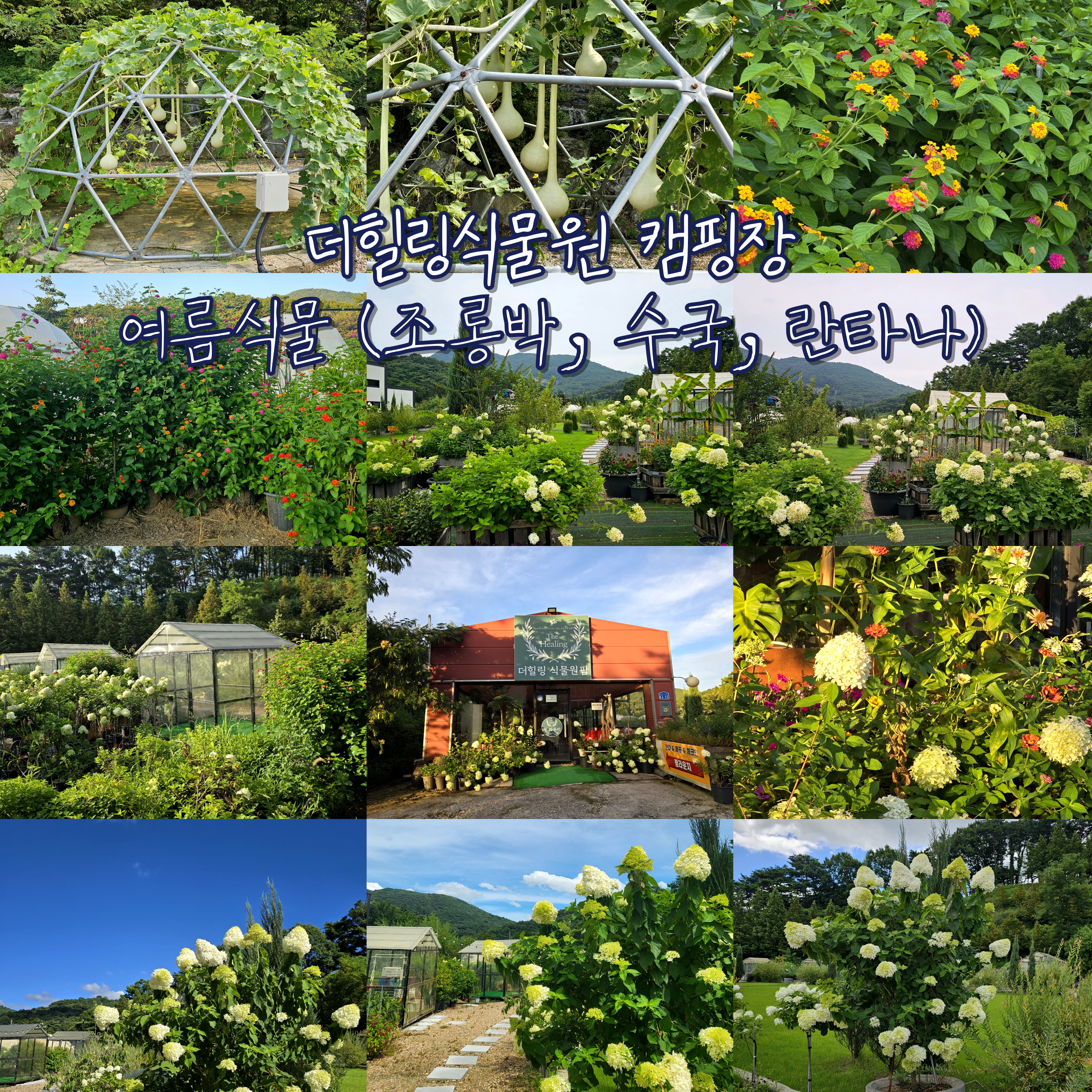 더힐링식물원 야영장