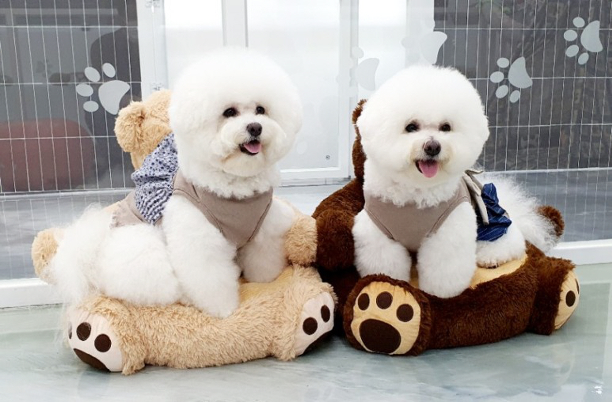 리츠펫 강남세곡점 대표 이미지
