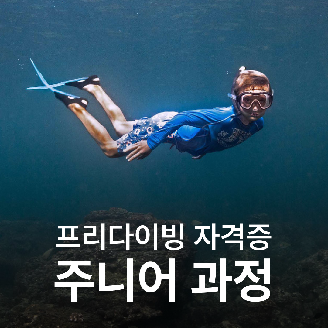난바다 프리다이빙