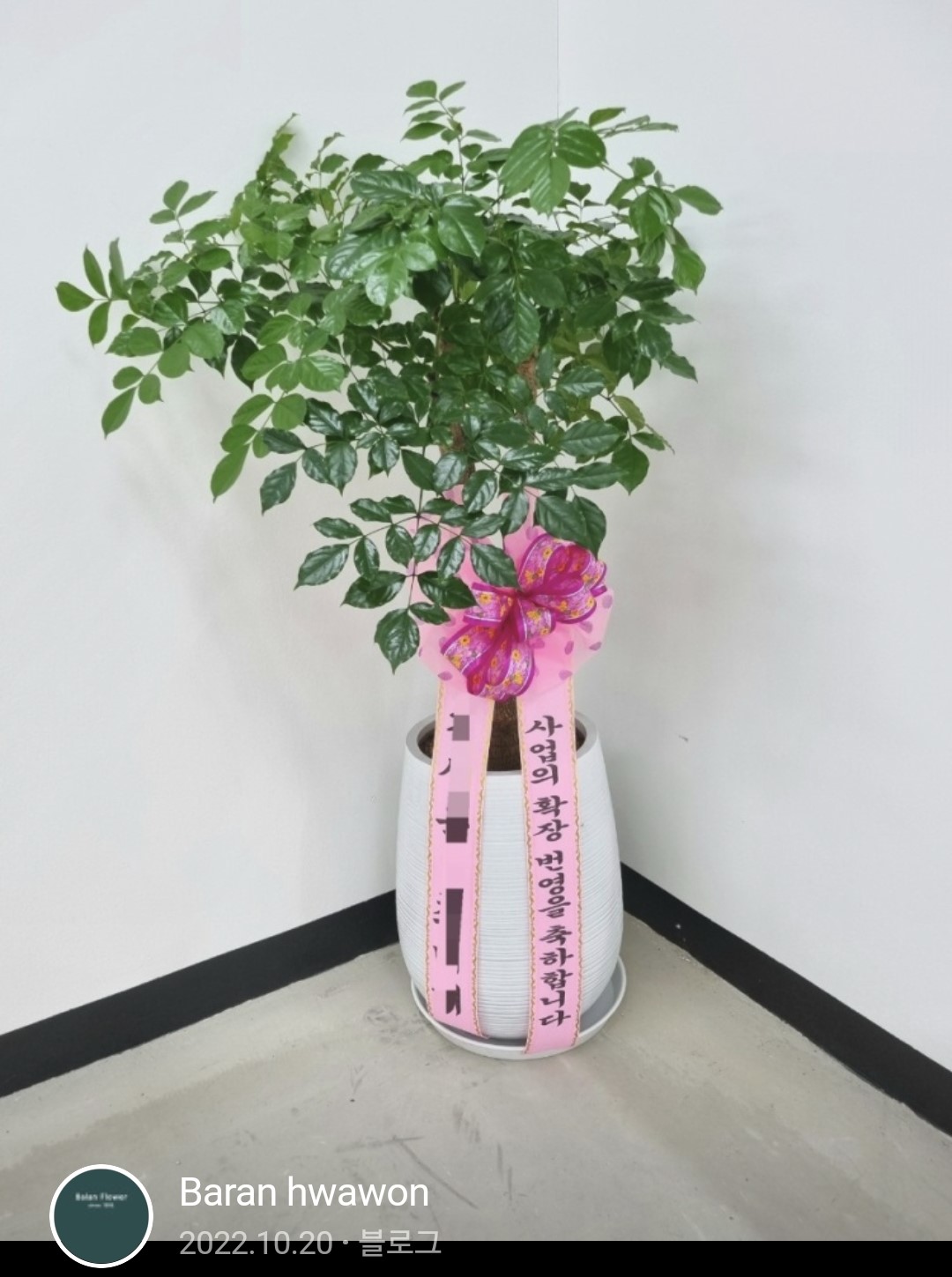 발안화원