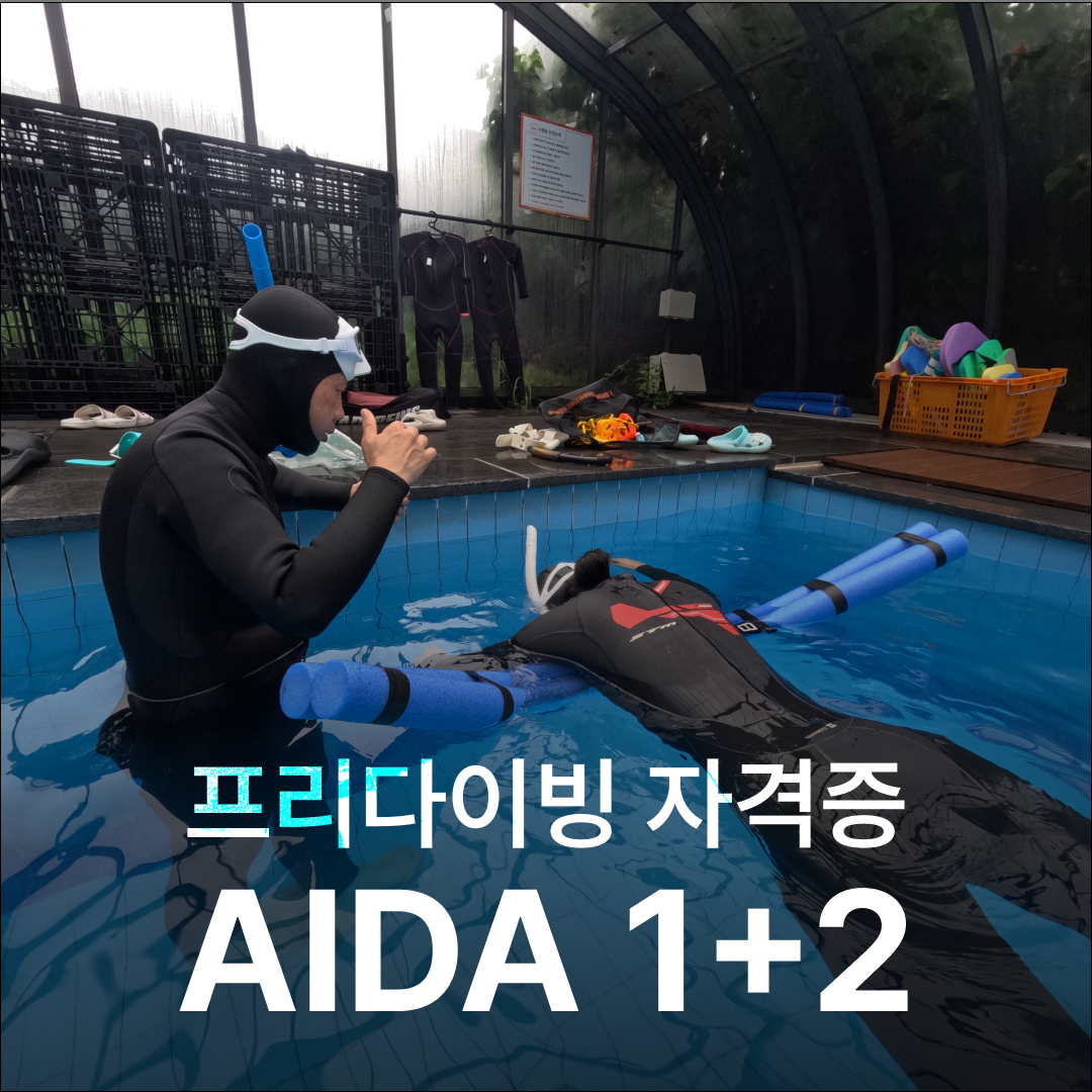 난바다 프리다이빙