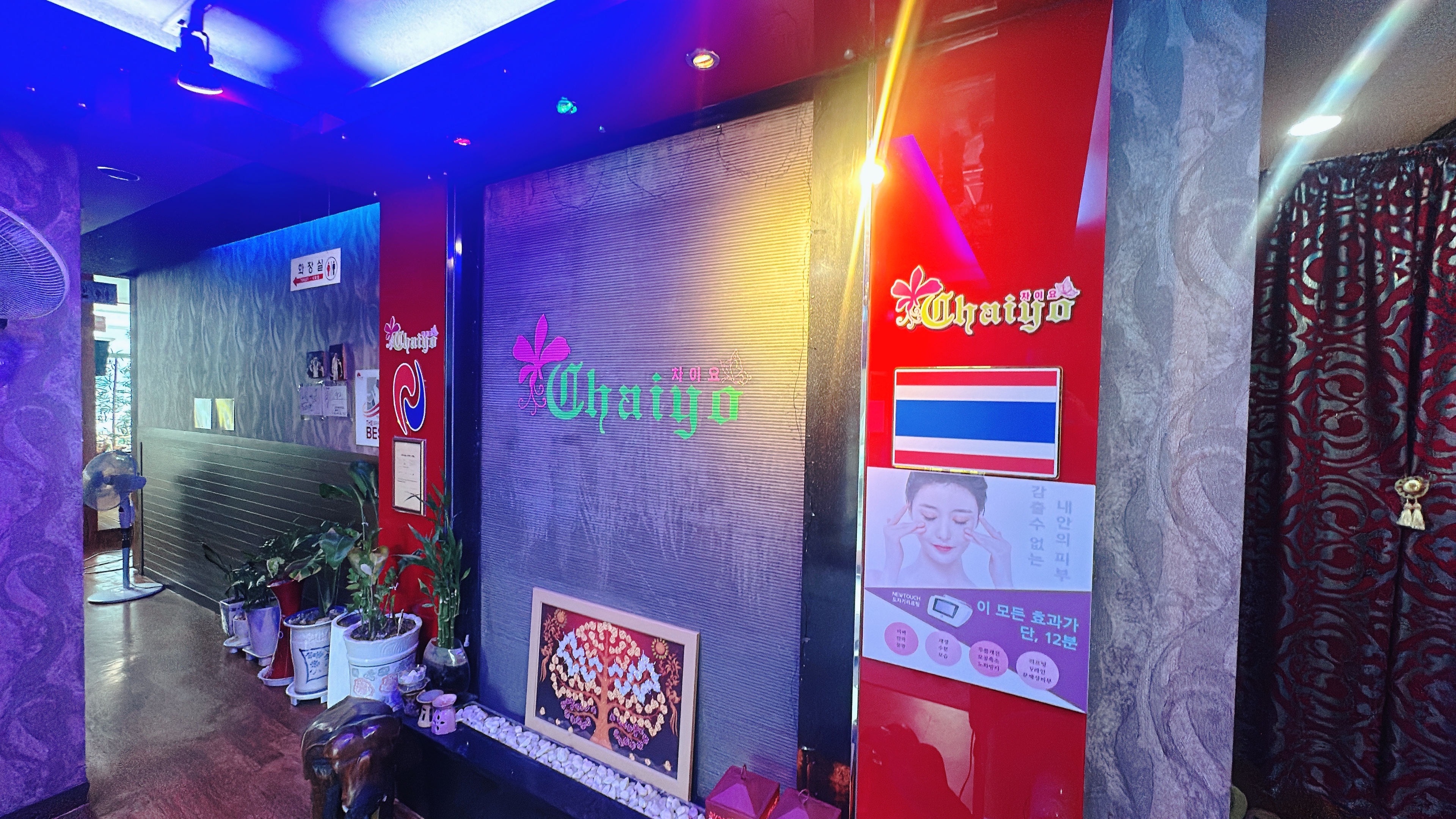 차이요 photo 9