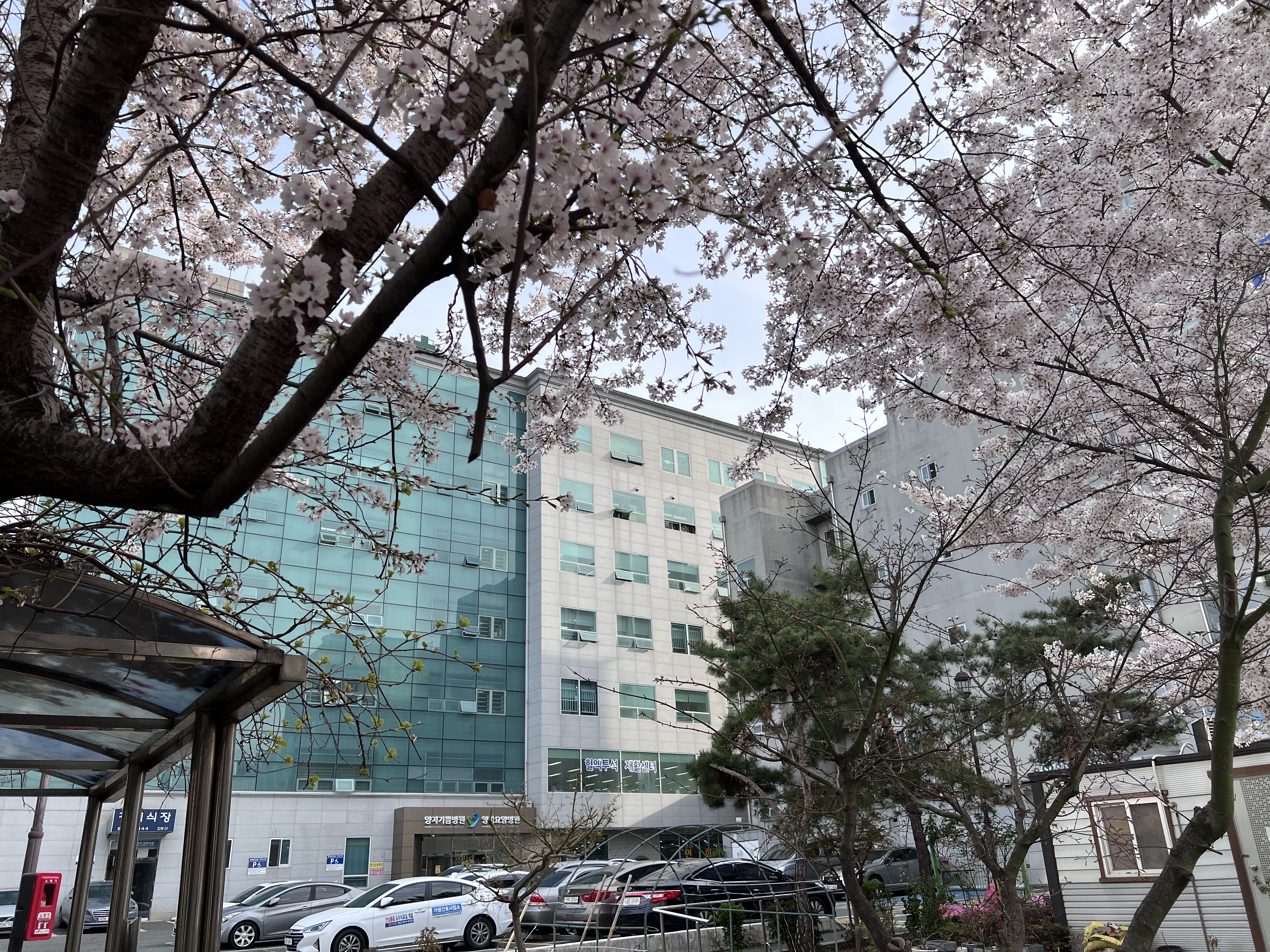 양지요양병원
