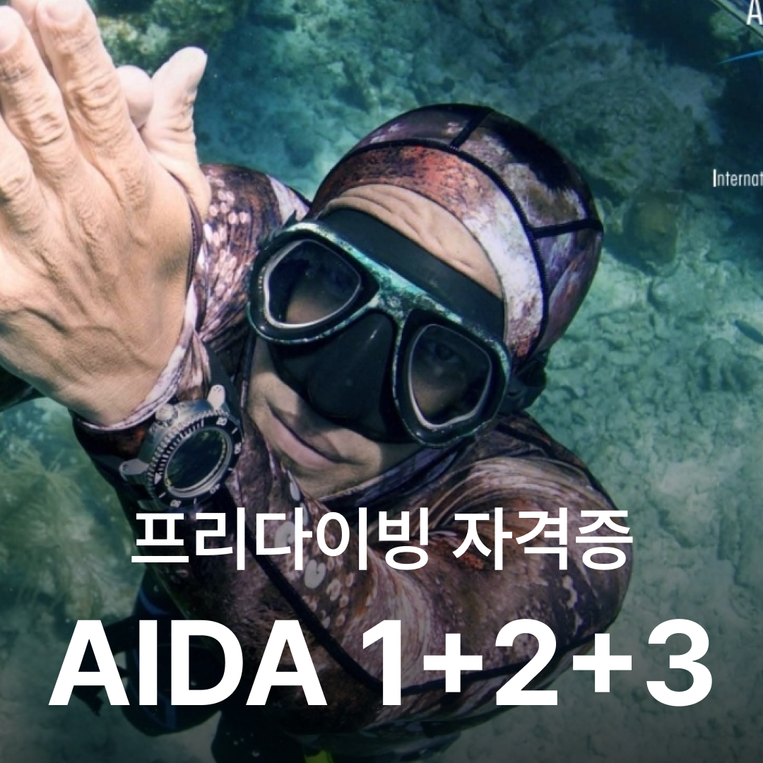 난바다 프리다이빙