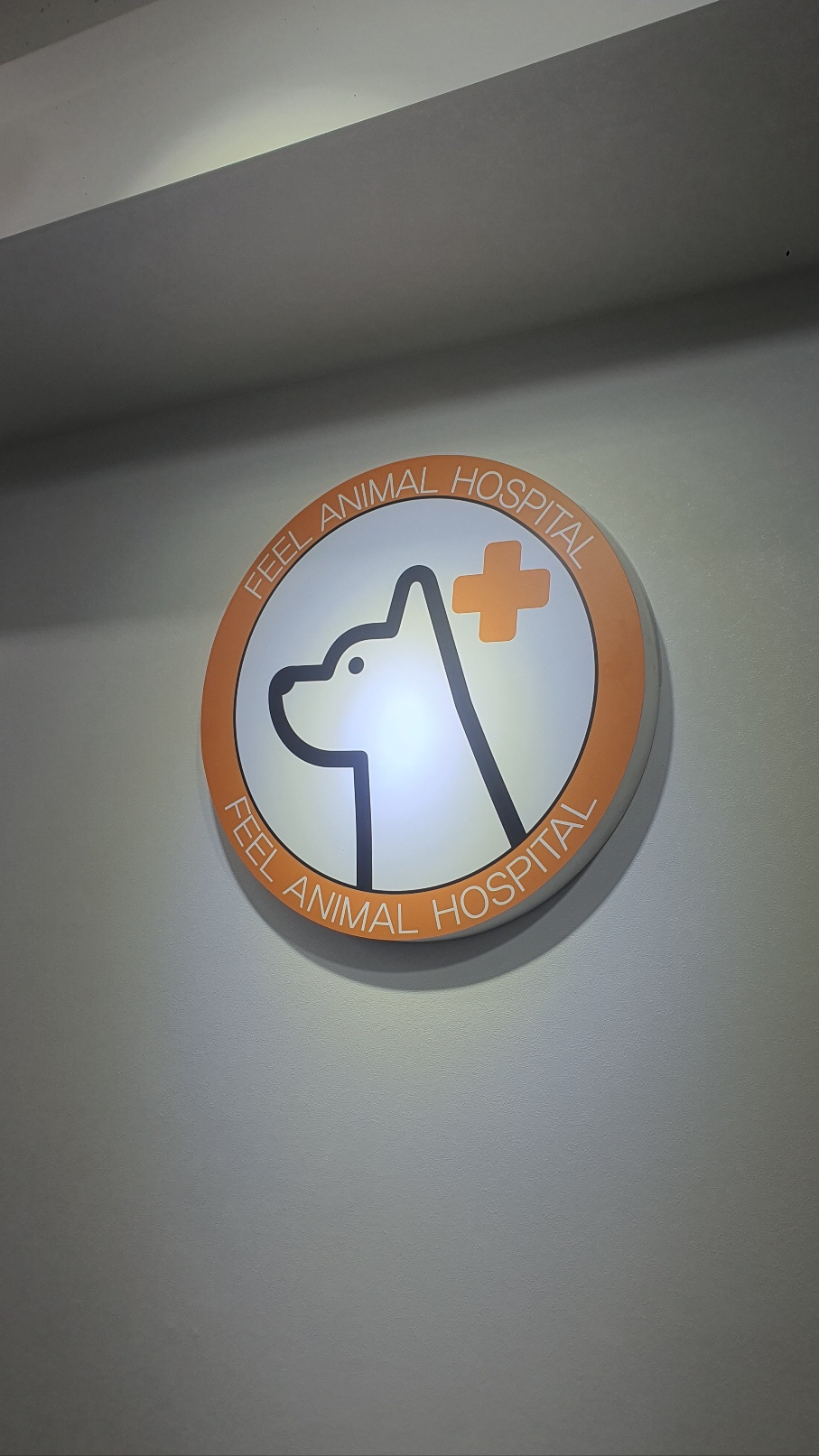 필동물병원 대표 이미지