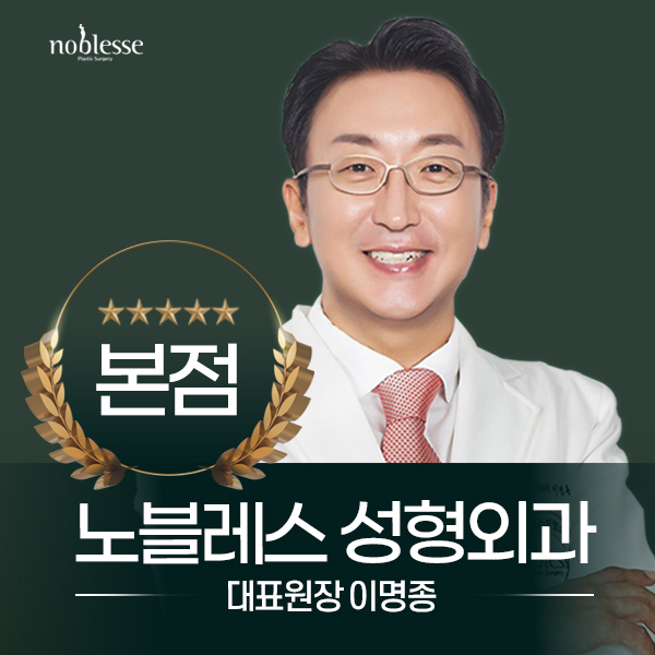 노블레스성형외과의원 본점