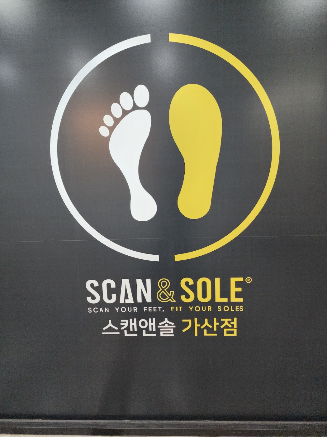 스캔앤솔