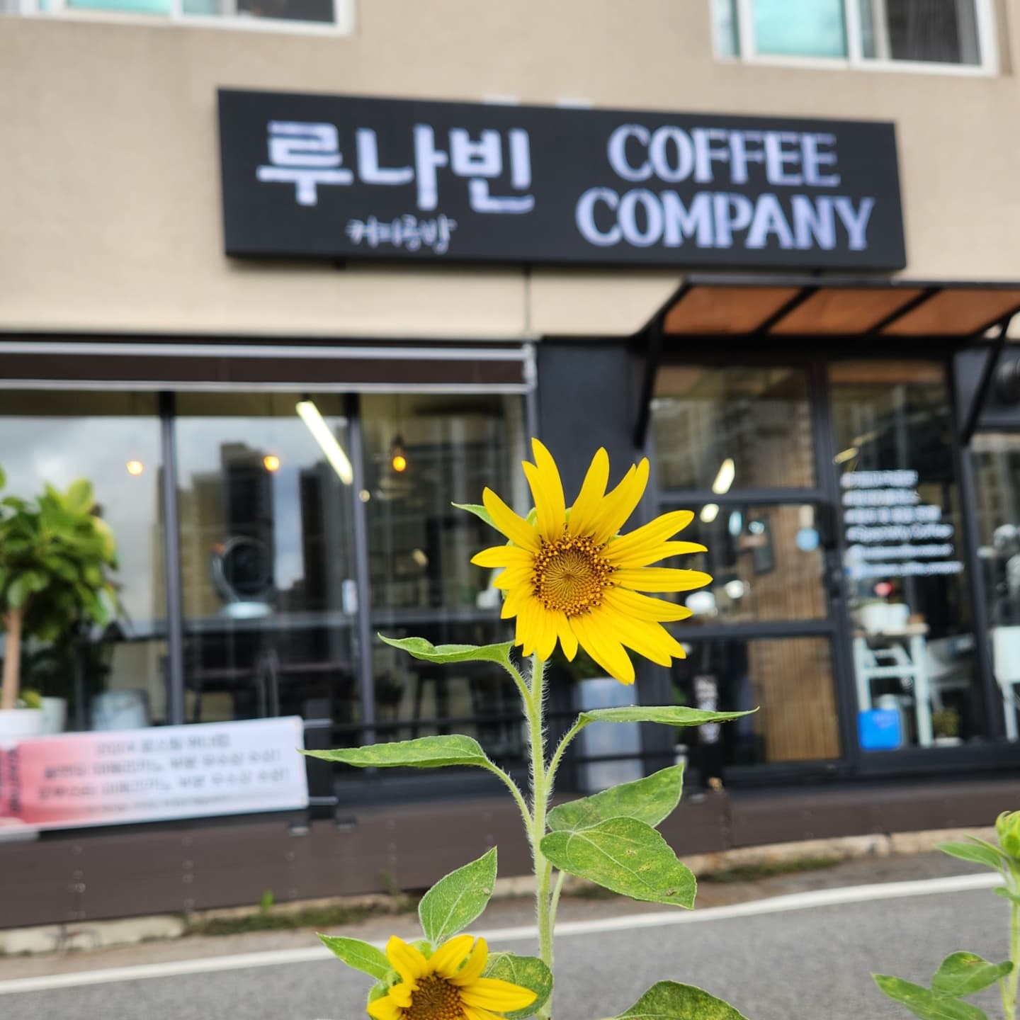 루나빈커피컴퍼니