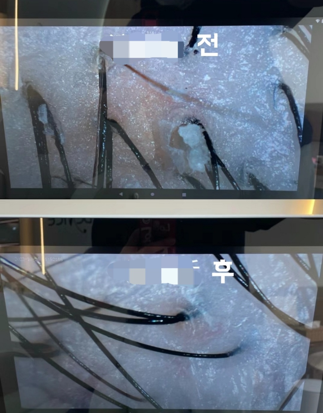 오로라스 photo 8