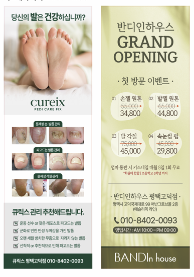 반디