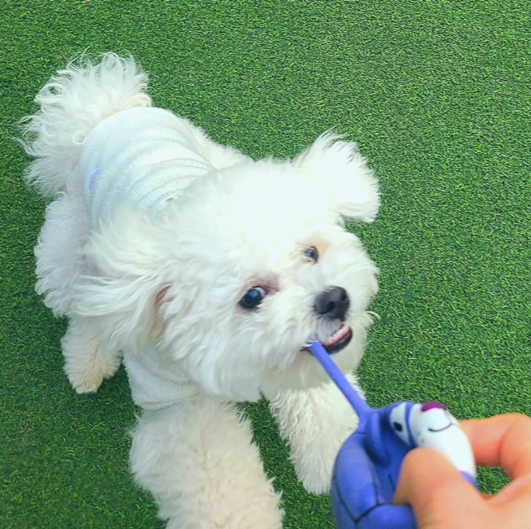 개떼놀이터 남양주 대표 이미지